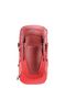 Ženski nahrbtnik Deuter Futura 24 SL - caspia/currant