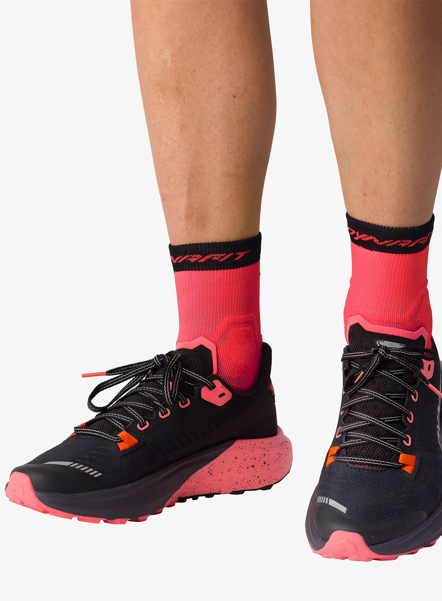 Tekaške nogavice Dynafit Alpine Short Socks - fluo coral