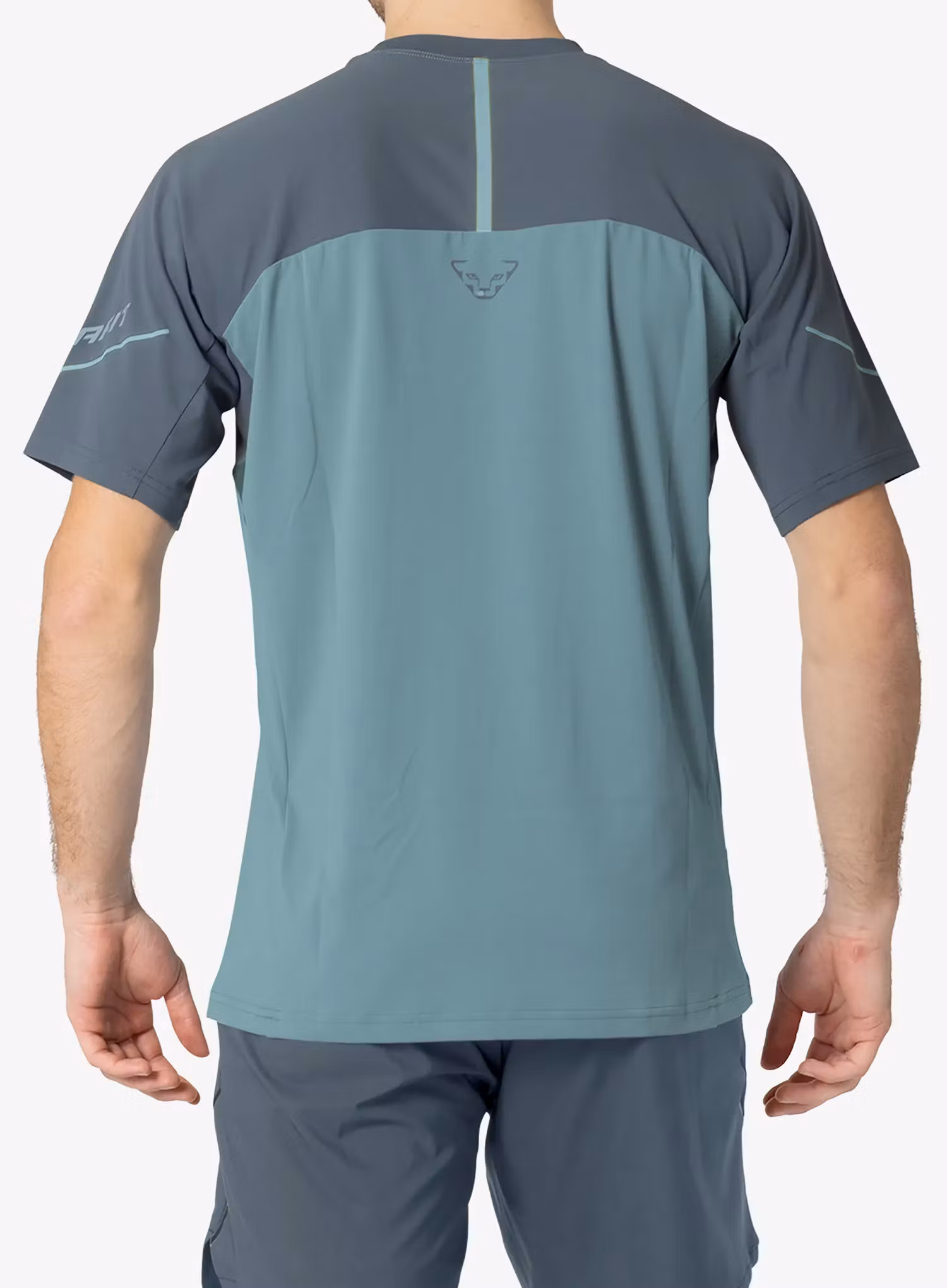 Športna majica Dynafit Alpine Pro S/S Tee - smoke blue