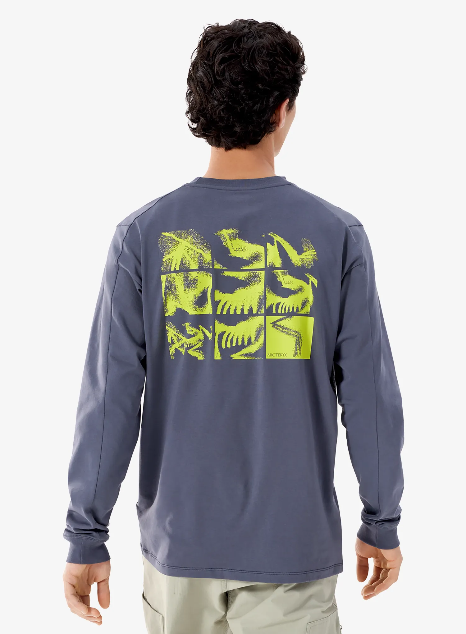Puloverji brez kapuce Arcteryx Kragg SL Cotton Bird Tile LS - dk stratus/euphoria