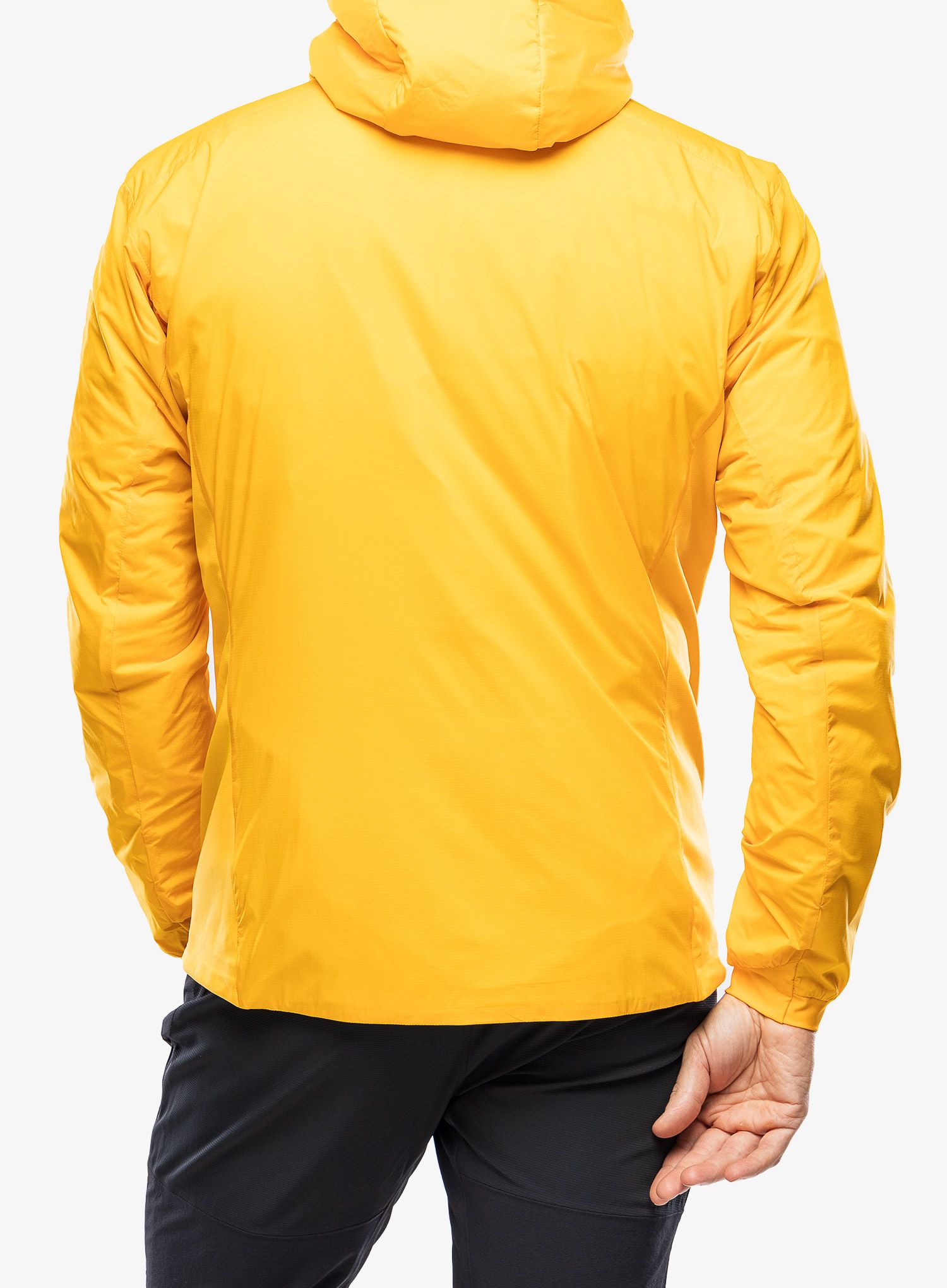 Sintetična jakna Arcteryx Atom Hoody - ediziza