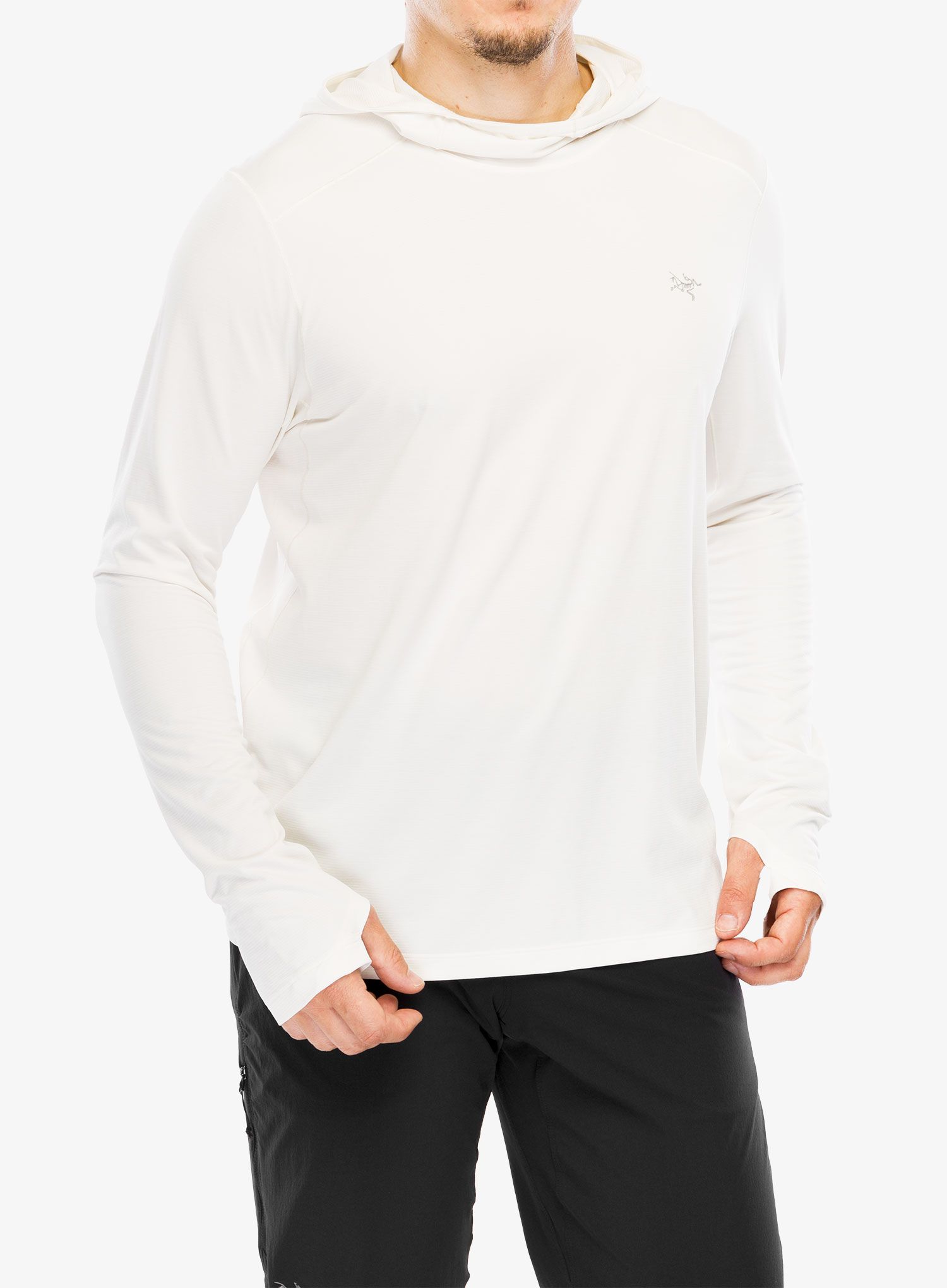 Tekaška jopica Arcteryx Cormac Hoody - arctic silk heather