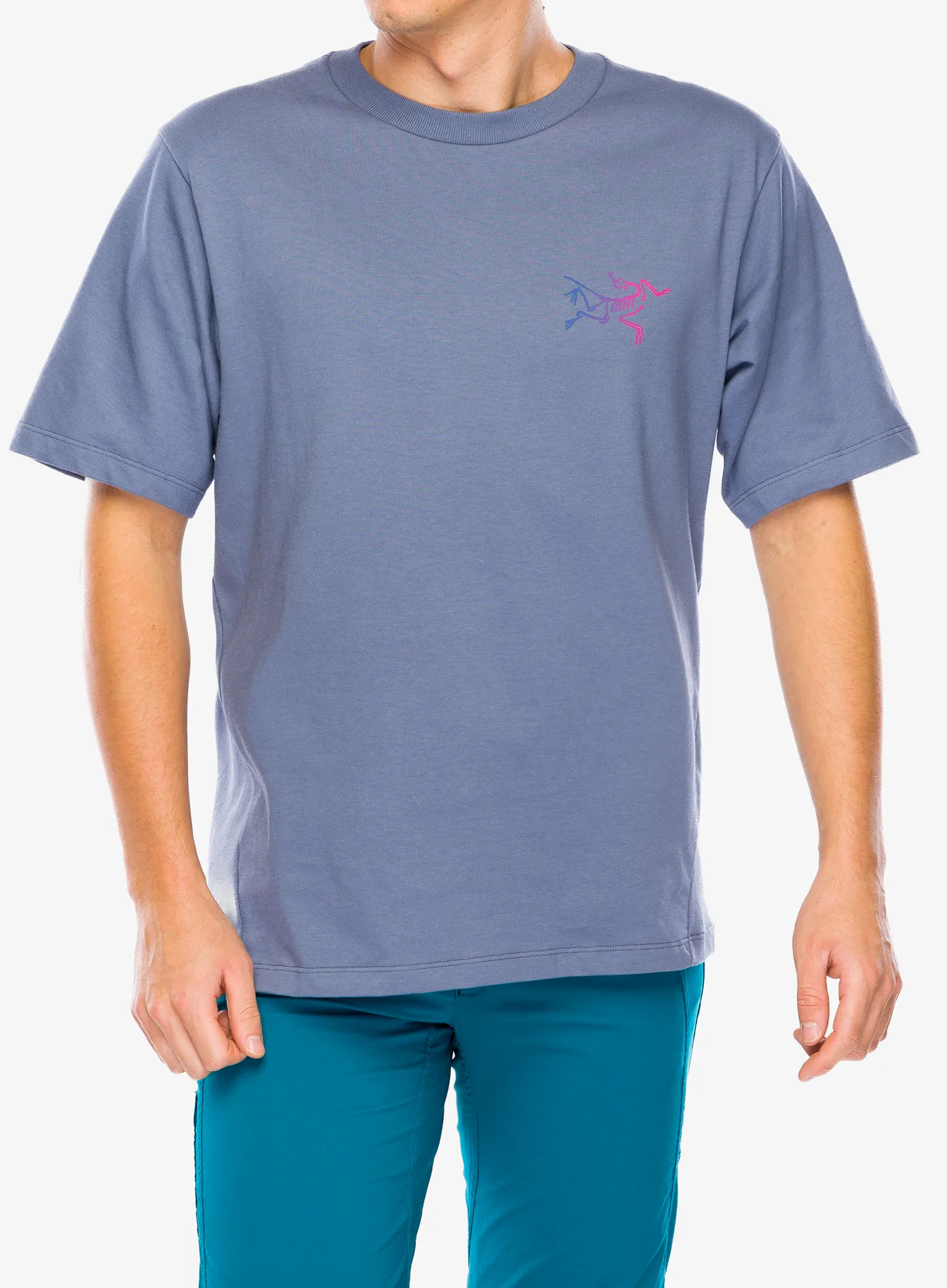 Bombažna majica Arcteryx Kragg Cotton Logo SS - stratus/multi