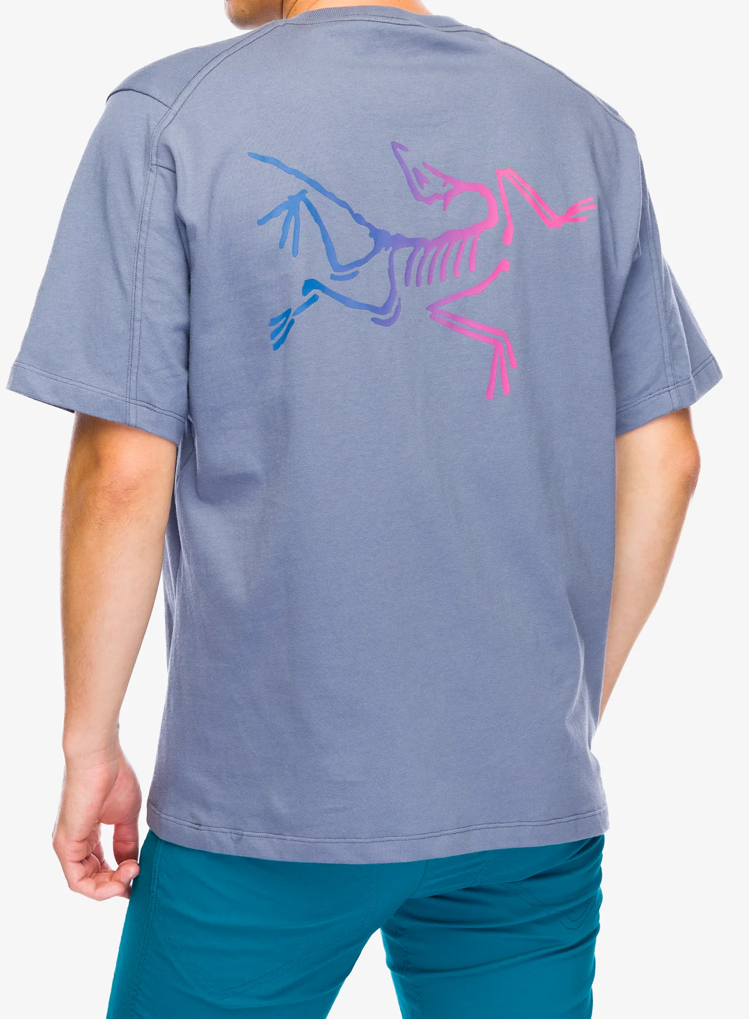 Bombažna majica Arcteryx Kragg Cotton Logo SS - stratus/multi