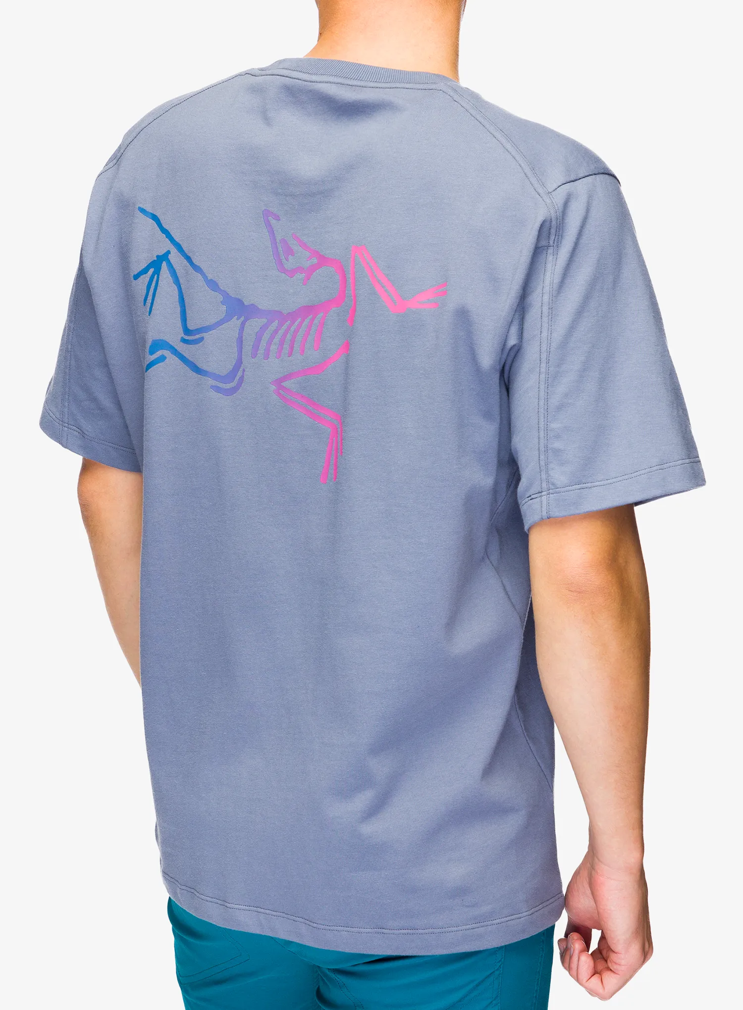 Bombažna majica Arcteryx Kragg Cotton Logo SS - stratus/multi