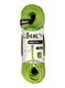 Dinamična vrv Beal Virus 10 mm 80 m Standard - solid green
