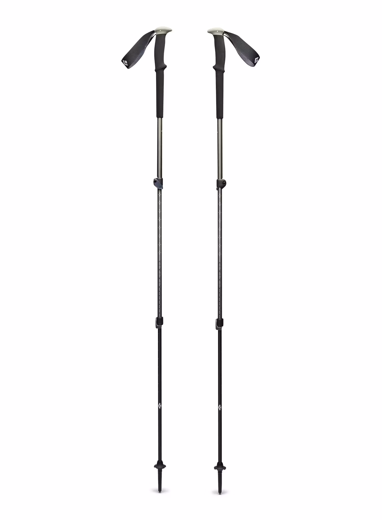 Pohodniške palice Black Diamond Trail Trekking Poles - pine smoke