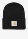 Kape Carhartt Watch Hat - black