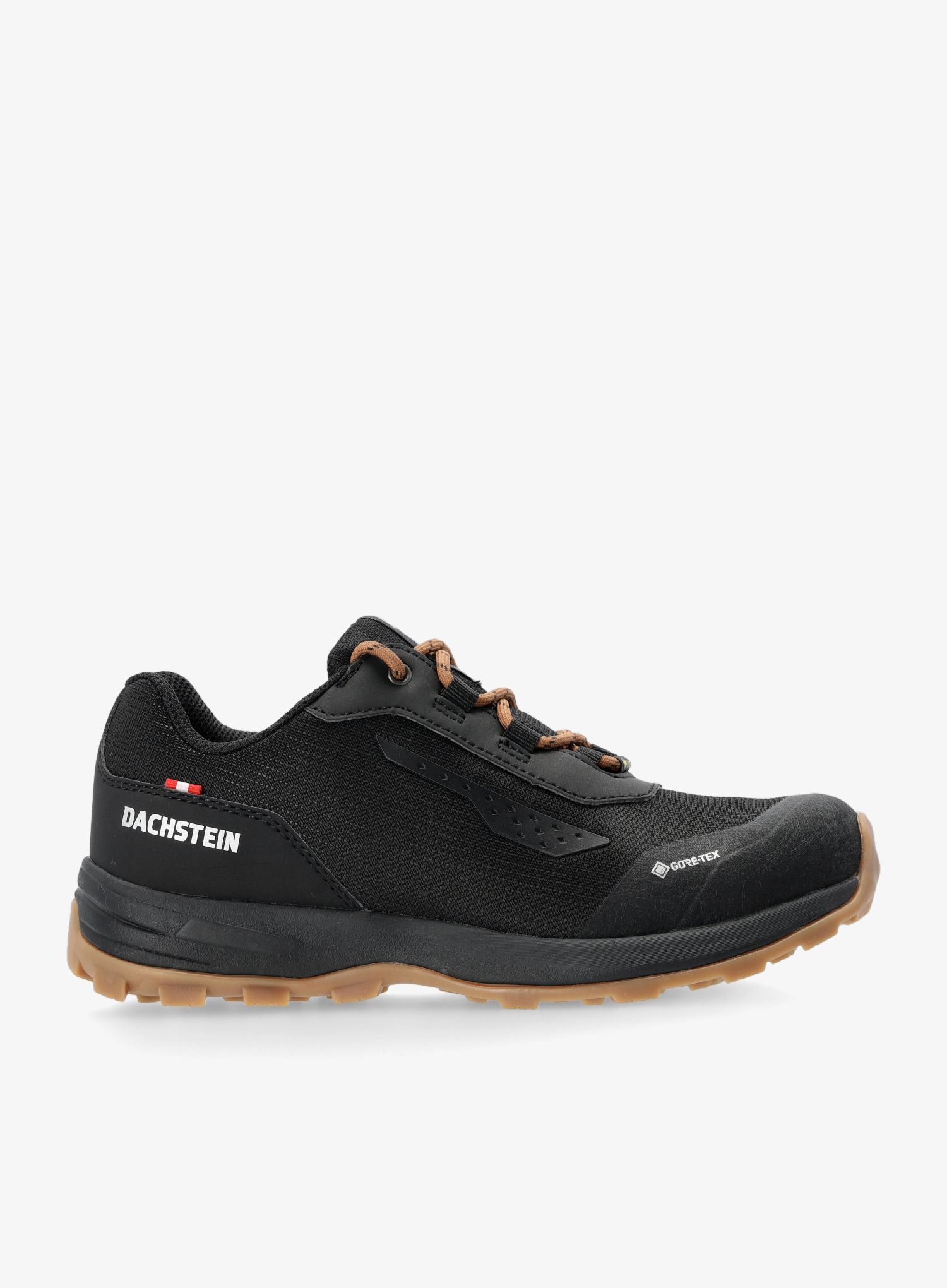 Pohodniški čevlji Dachstein Delta Rise 3.0 LC GTX - black