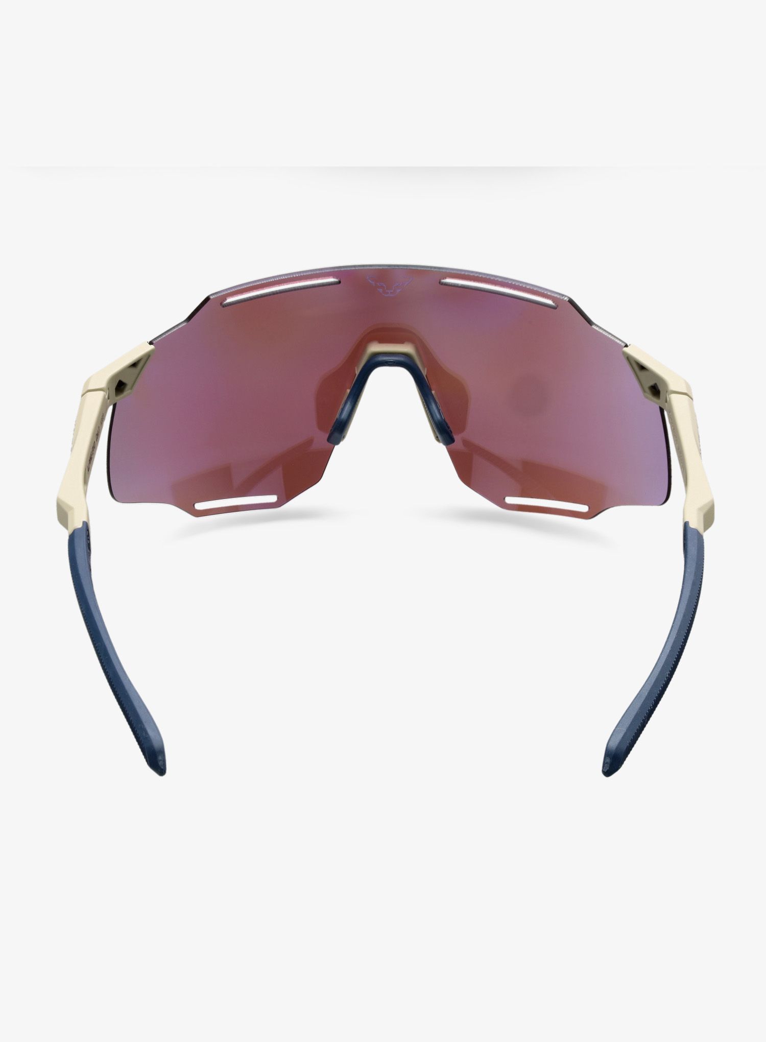 Sončna očala Dynafit Alpine Evo Sunglasses - rock khaki/blue berry