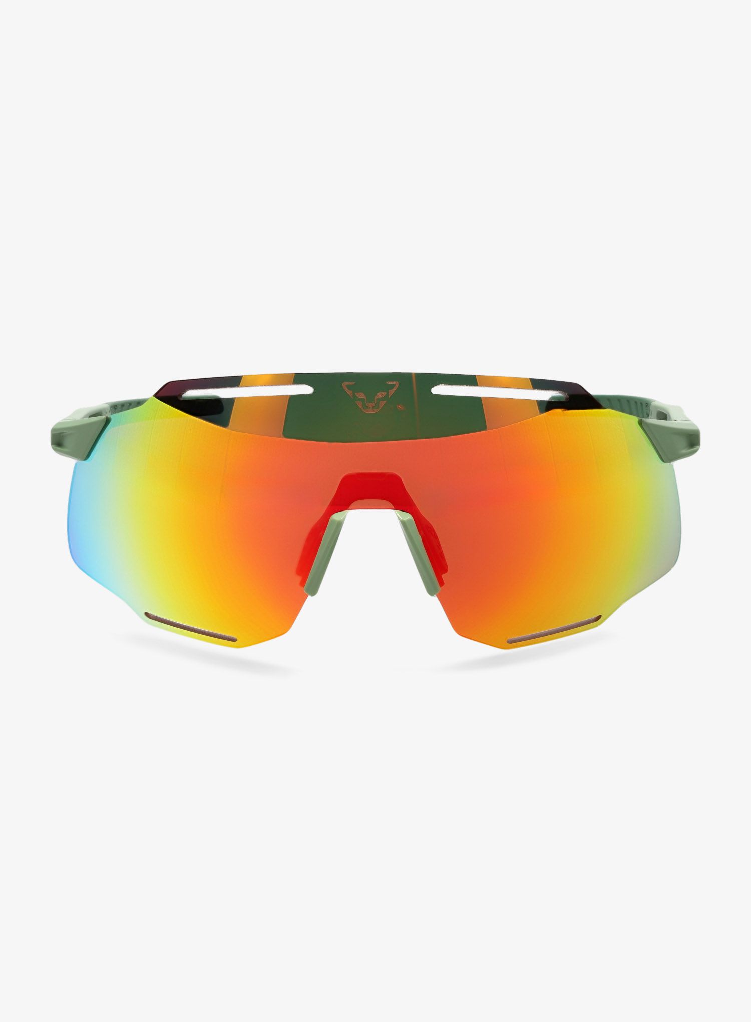 Sončna očala Dynafit Alpine Evo Sunglasses - sage/thyme