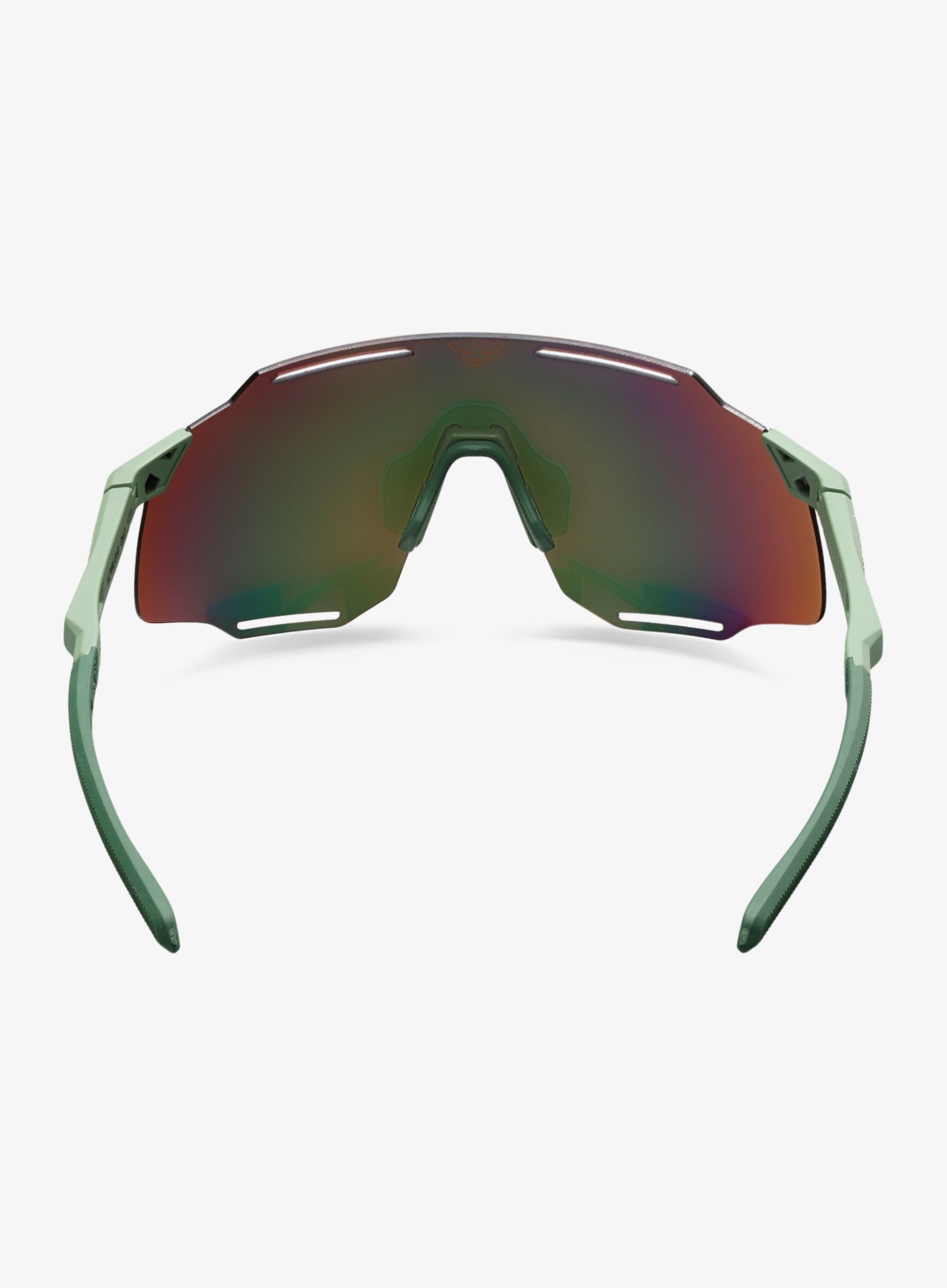Sončna očala Dynafit Alpine Evo Sunglasses - sage/thyme