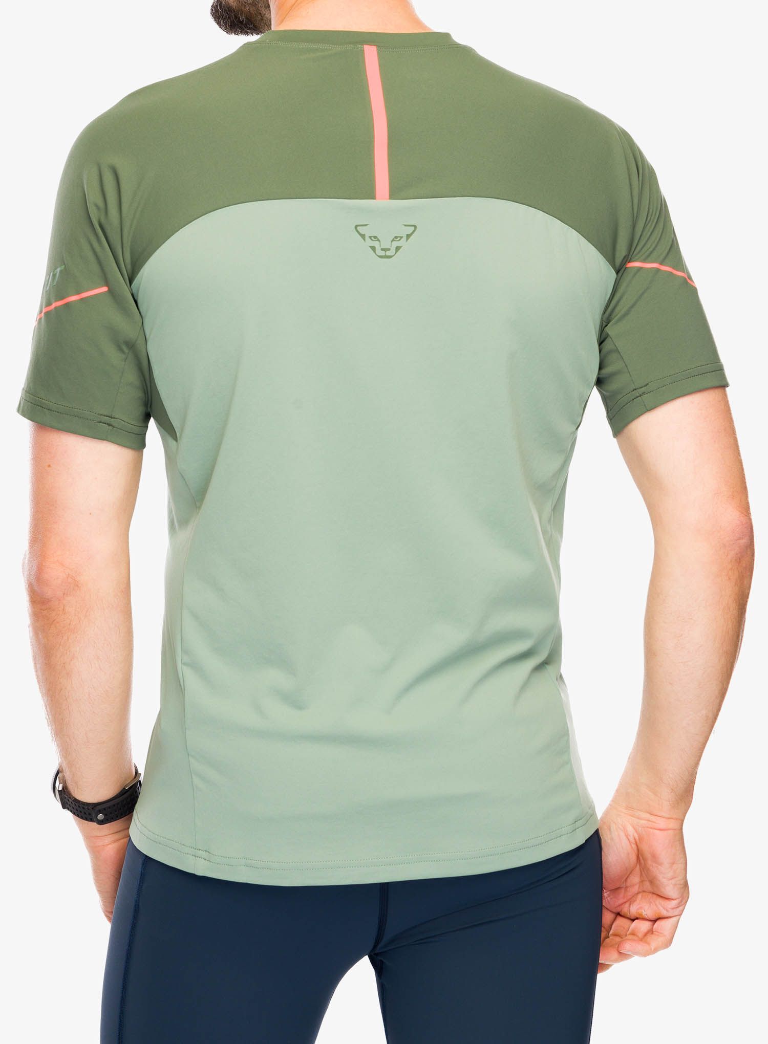 Športna majica Dynafit Alpine Pro S/S Tee - sage