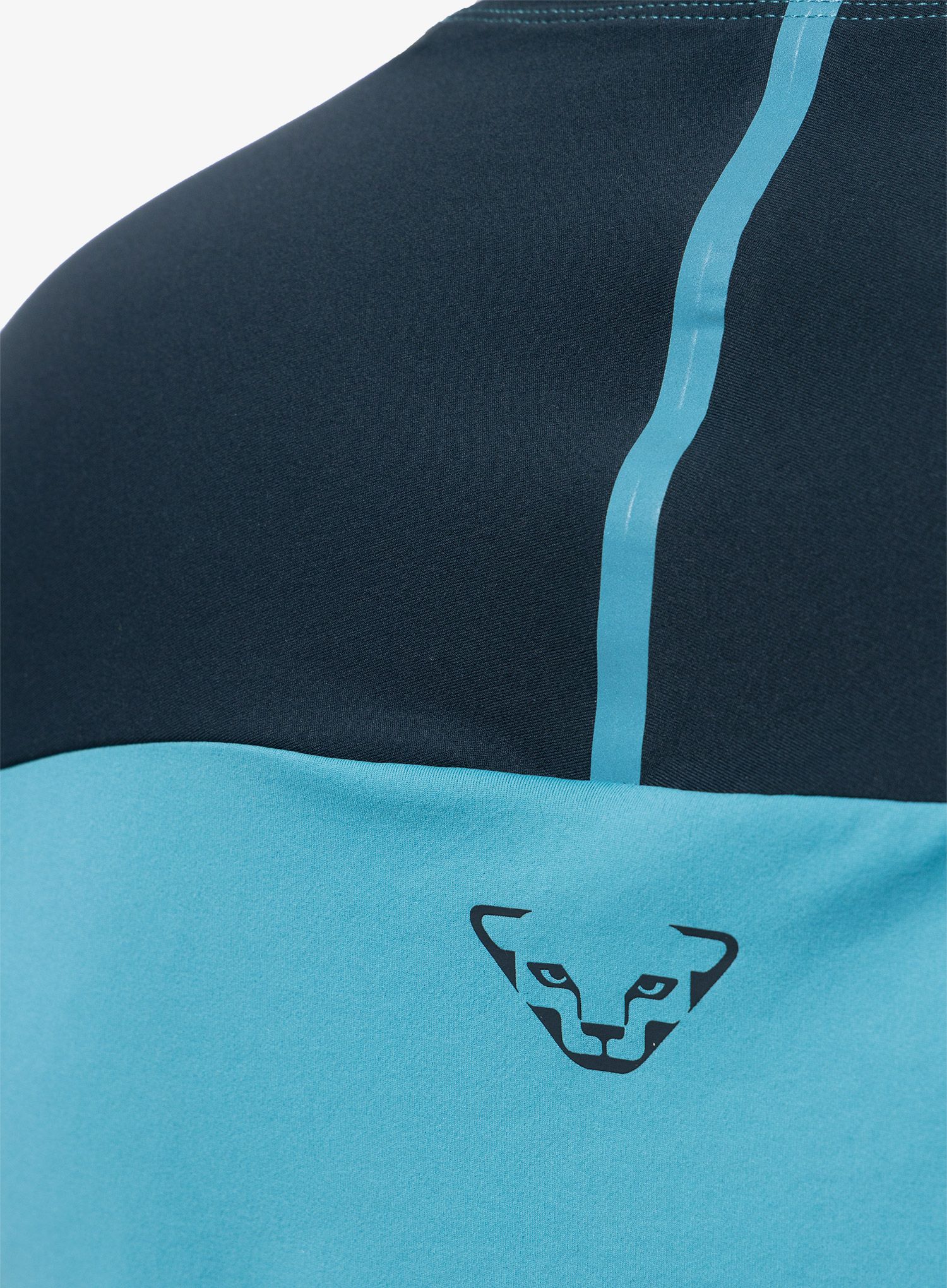 Moška tekaška majica Dynafit Alpine Pro S/S Tee - storm blue