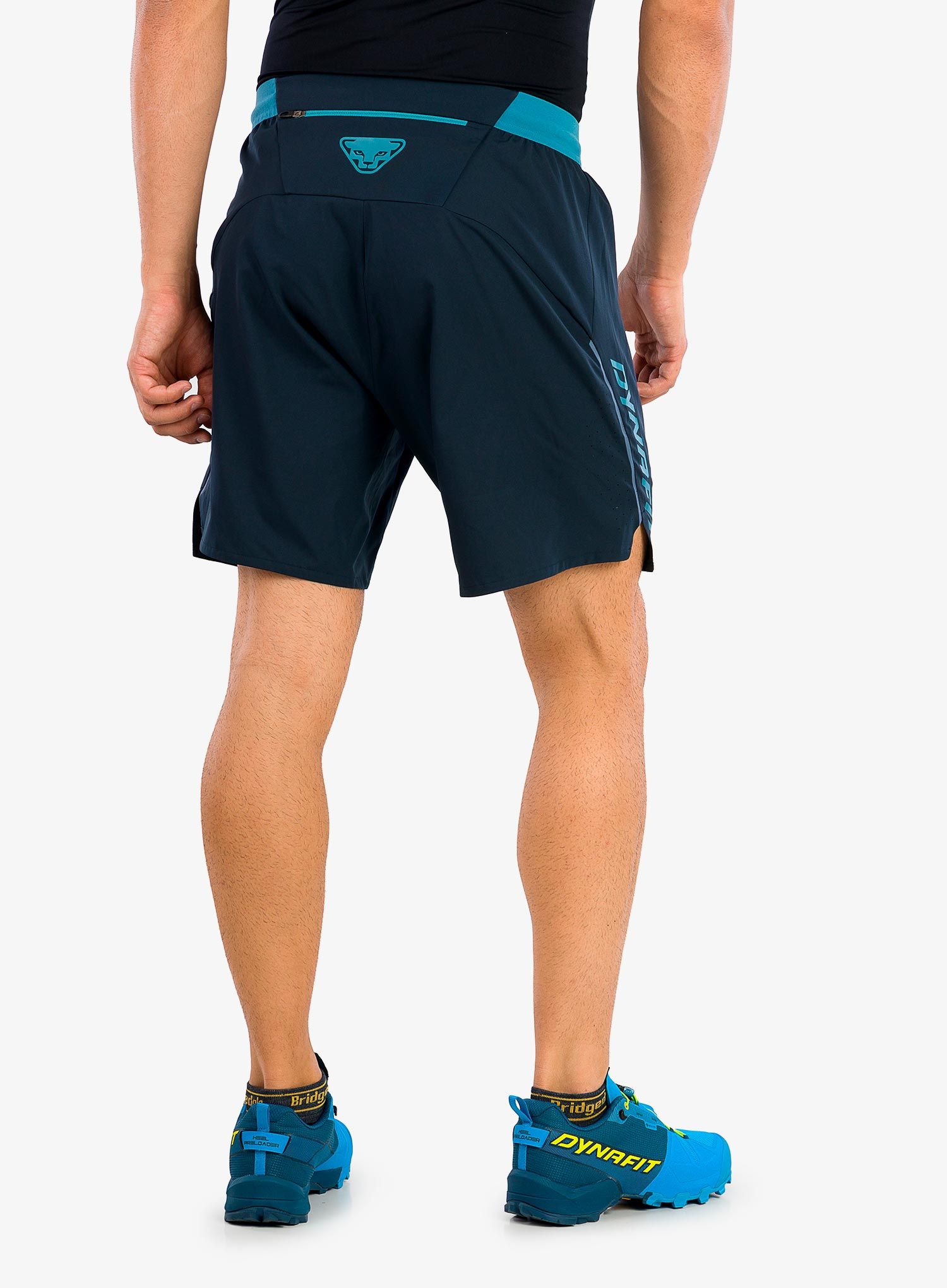 Tekaške kratke hlače Dynafit Alpine Shorts - blueberry storm blue