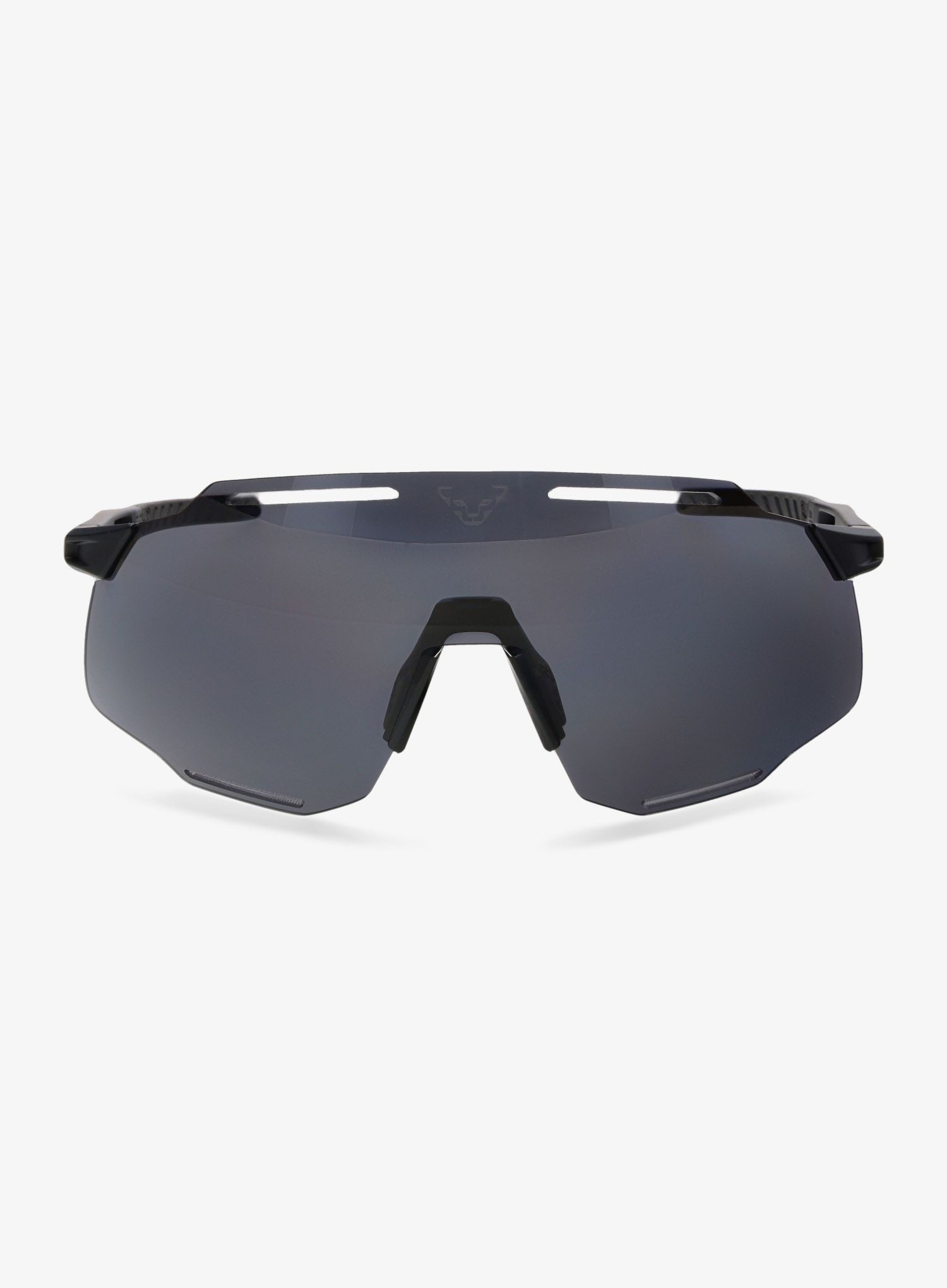 Sončna očala Dynafit Alpine Sunglasses - black out/nimbus