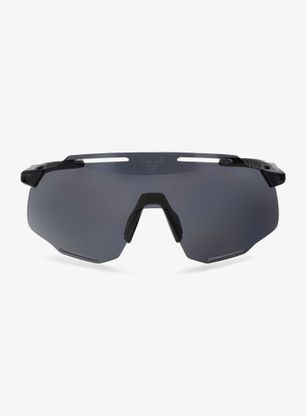 Sončna očala Dynafit Alpine Sunglasses - black out/nimbus
