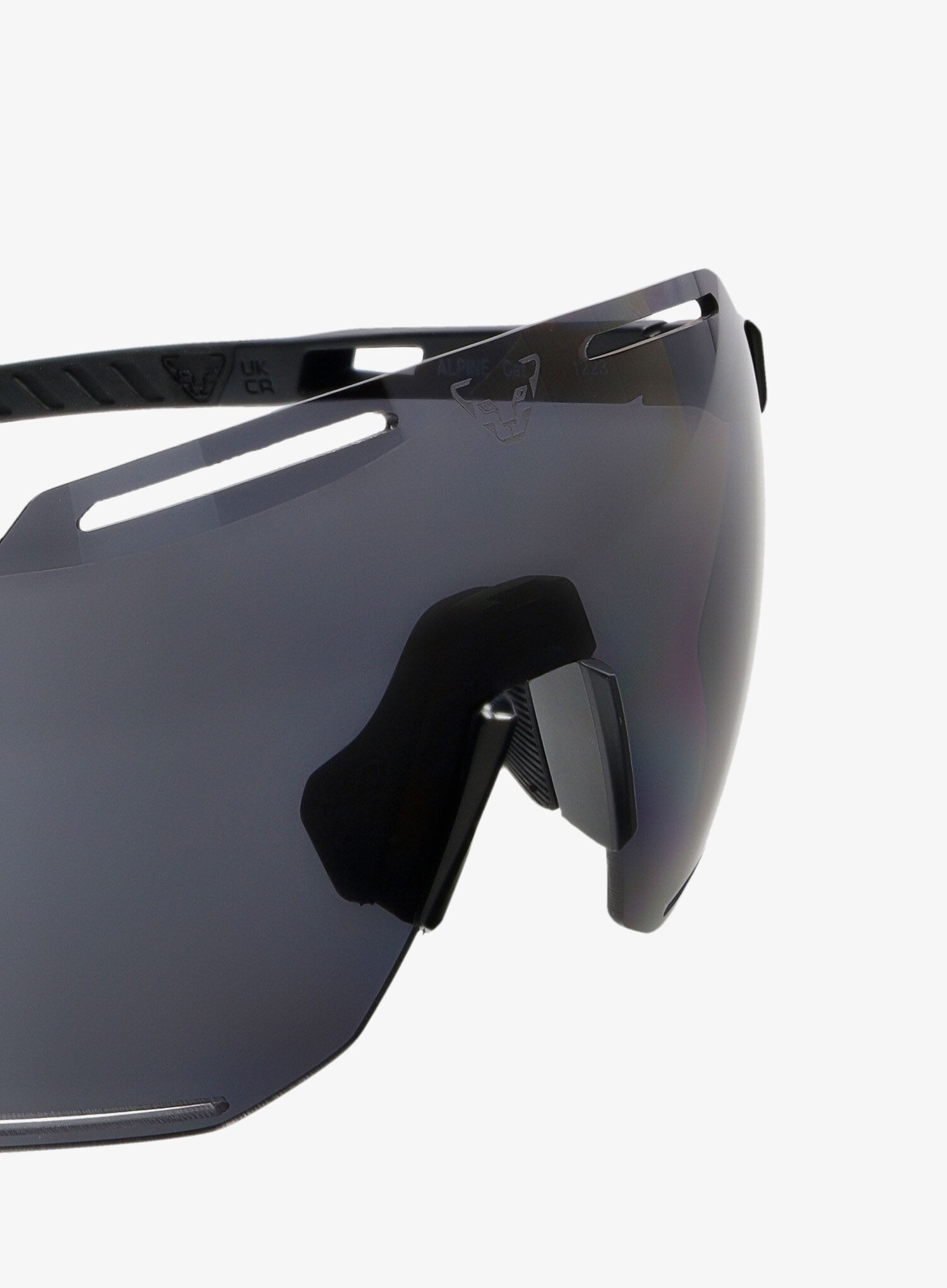 Sončna očala Dynafit Alpine Sunglasses - black out/nimbus