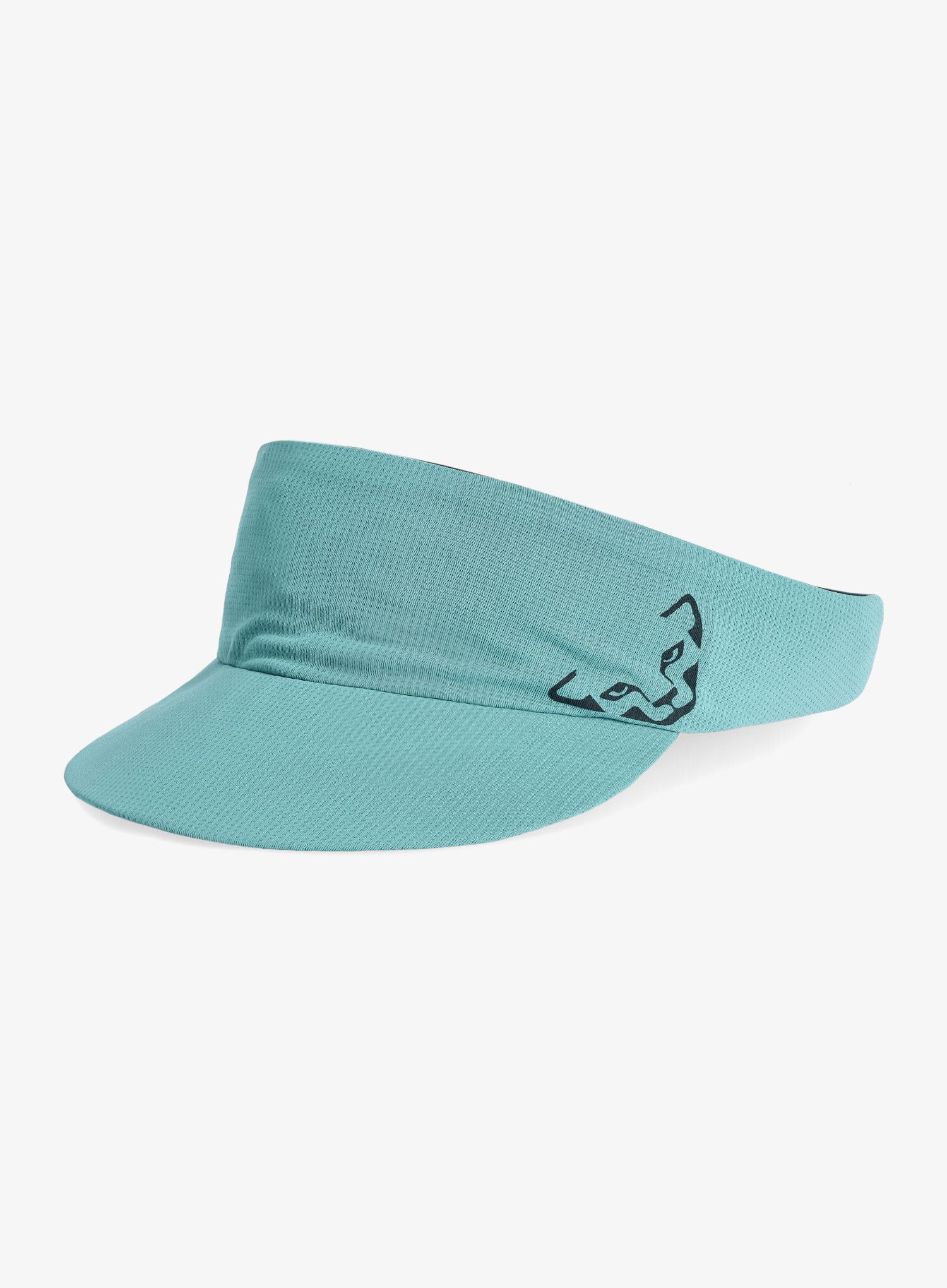Tekaški šilt Dynafit Alpine Visor Band  - storm blue