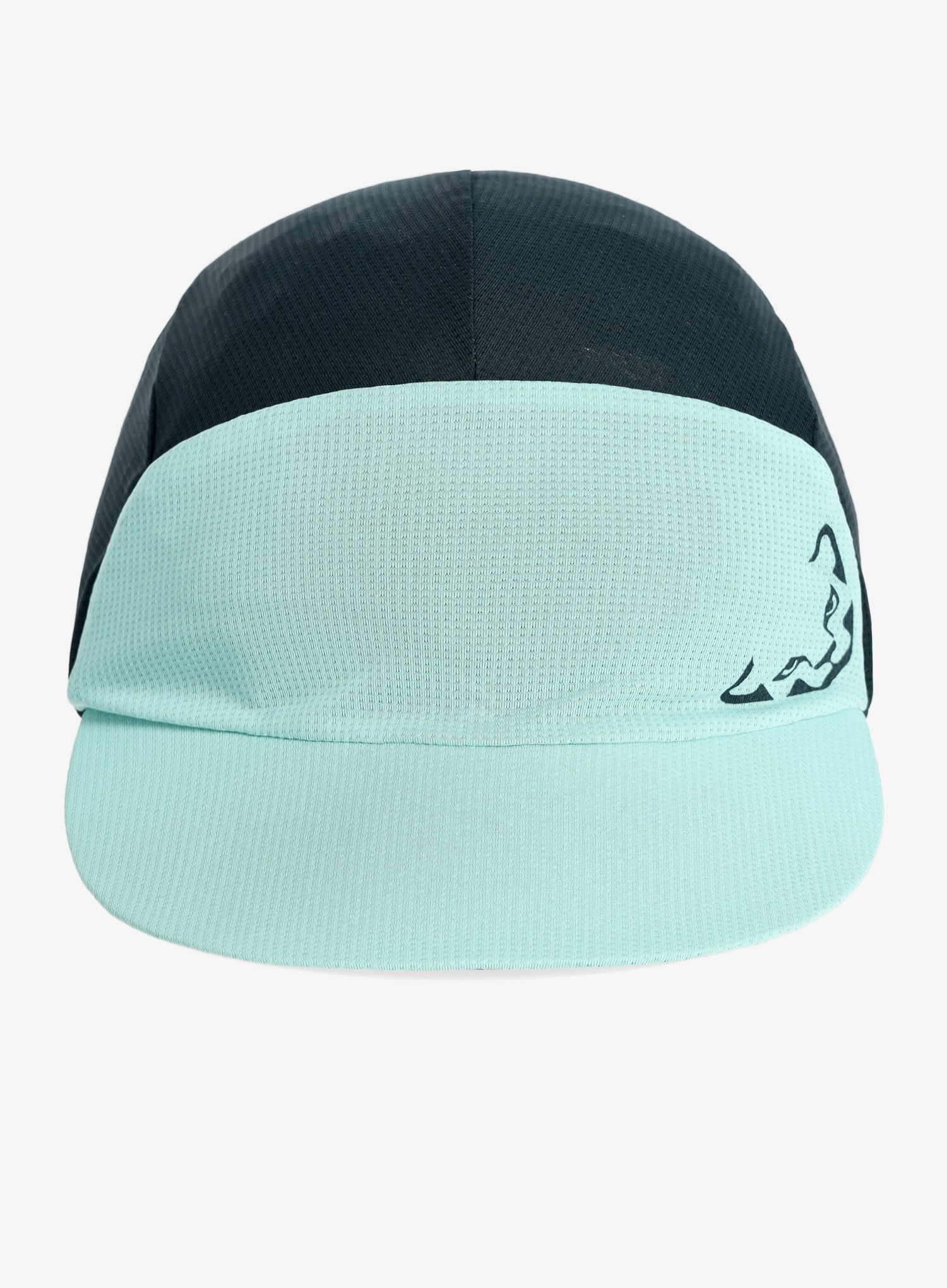 Tekaška kapa Dynafit Alpine Visor Cap  - marine blue