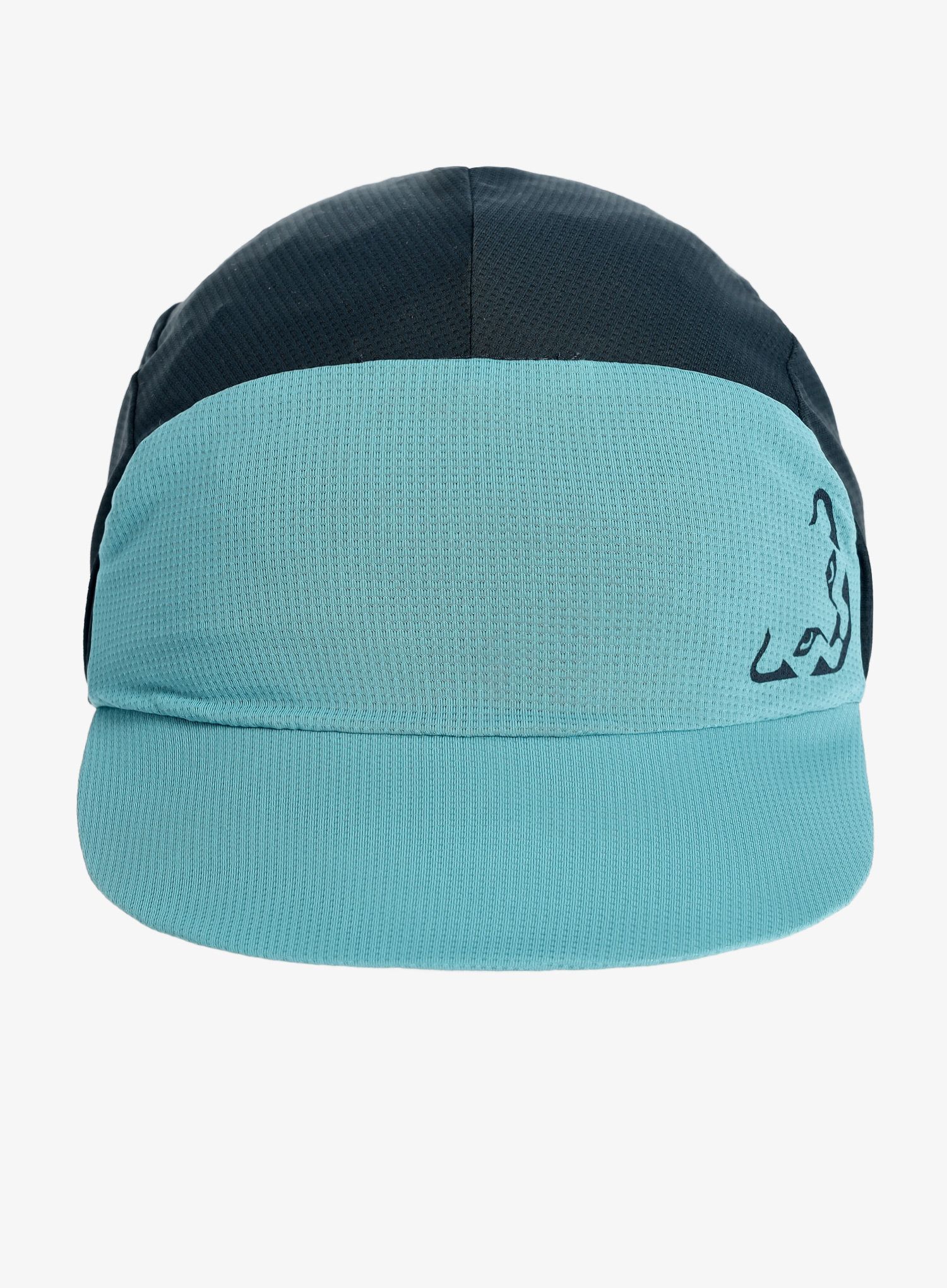 Kapa s šiltom Dynafit Alpine Visor Cap  - storm blue