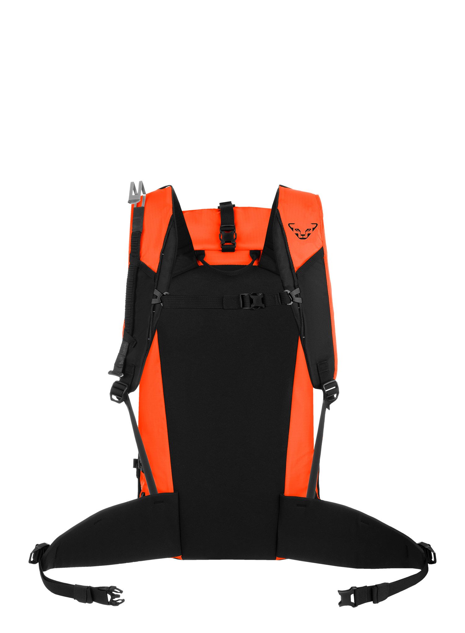 Nahrbtnik za turno smučanje Dynafit Expedition 36 Backpack - dawn/black out