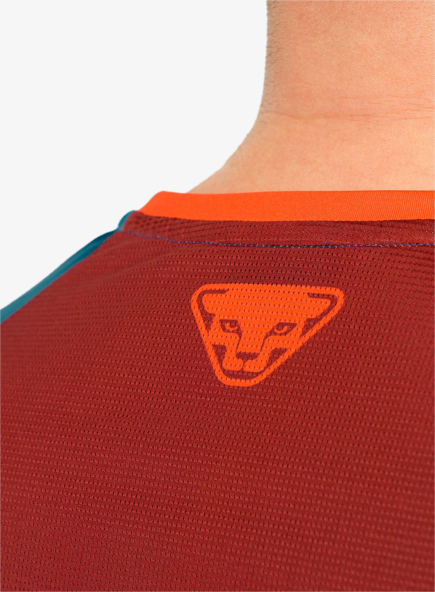 Kolesarska majica Dynafit Ride Shirt  - mallard blue