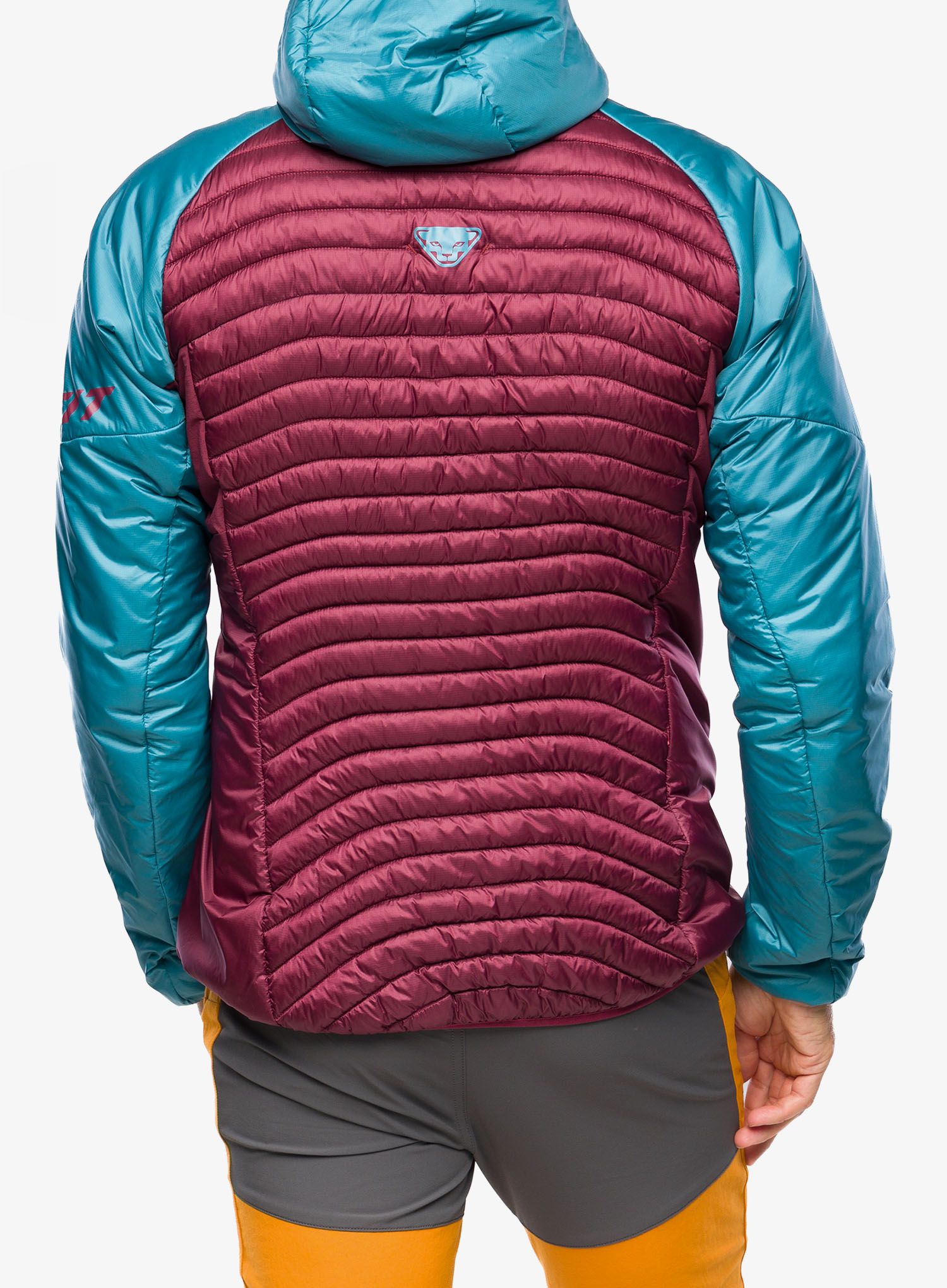 Jakna za turno smučanje Dynafit Speed Insulation Hooded Jacket - storm blue/blue