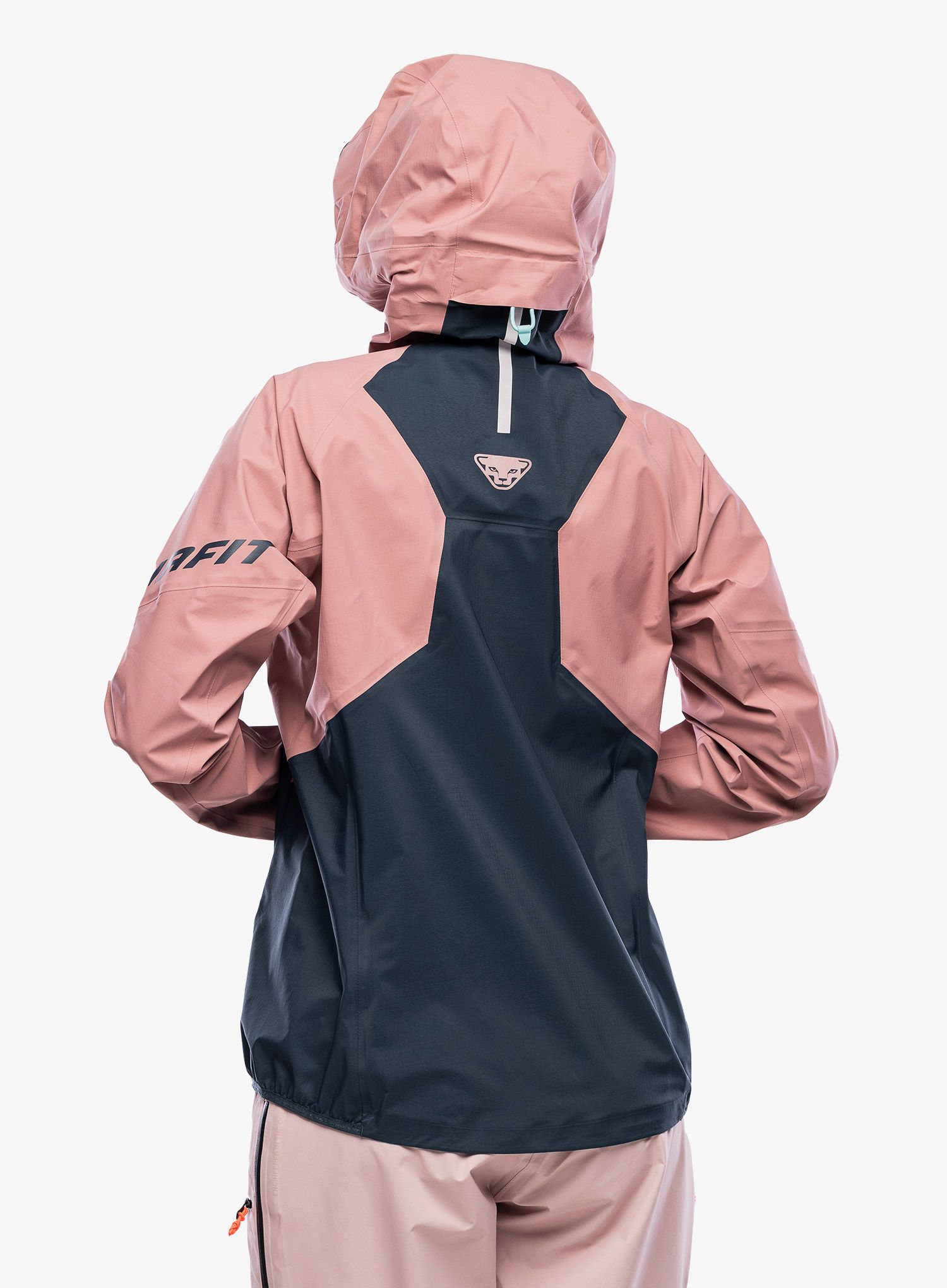 Ženska jakna za turno smučanje Dynafit TLT GTX Jacket - mokarosa