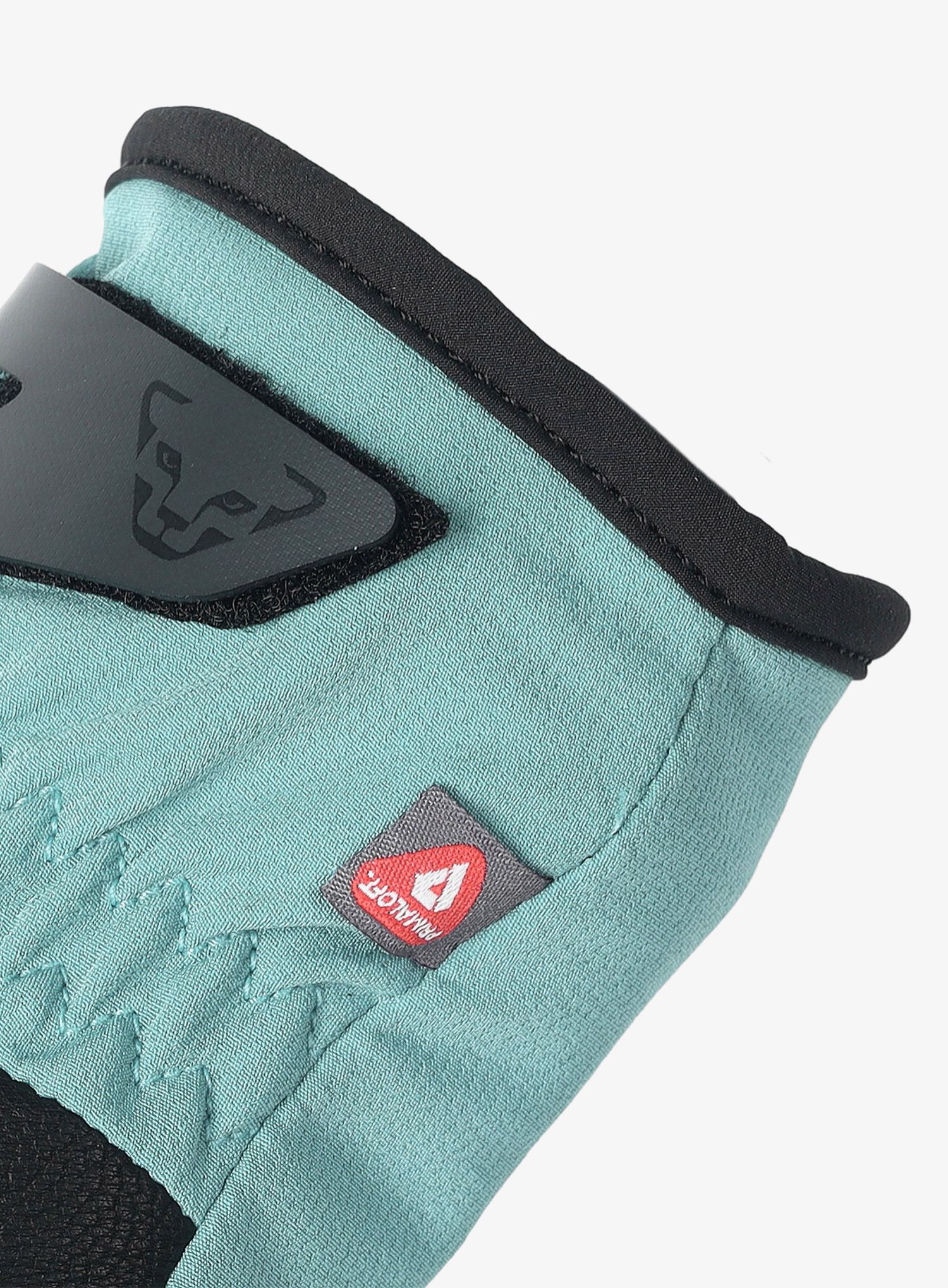 Rokavice za turno smučanje Dynafit Tour Infinium Gloves - marine blue