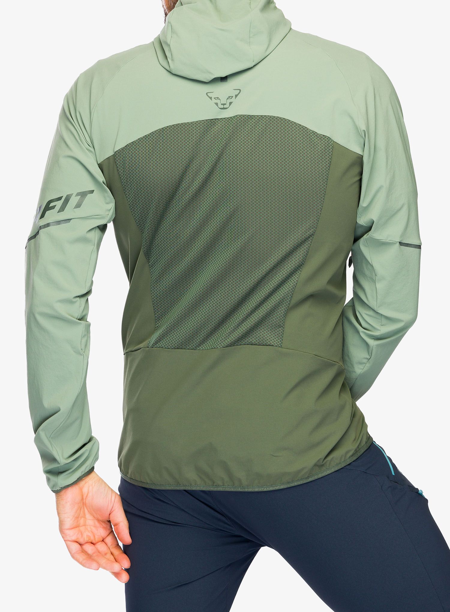 Softshell jakna Dynafit Transalper DST Jacket - sage