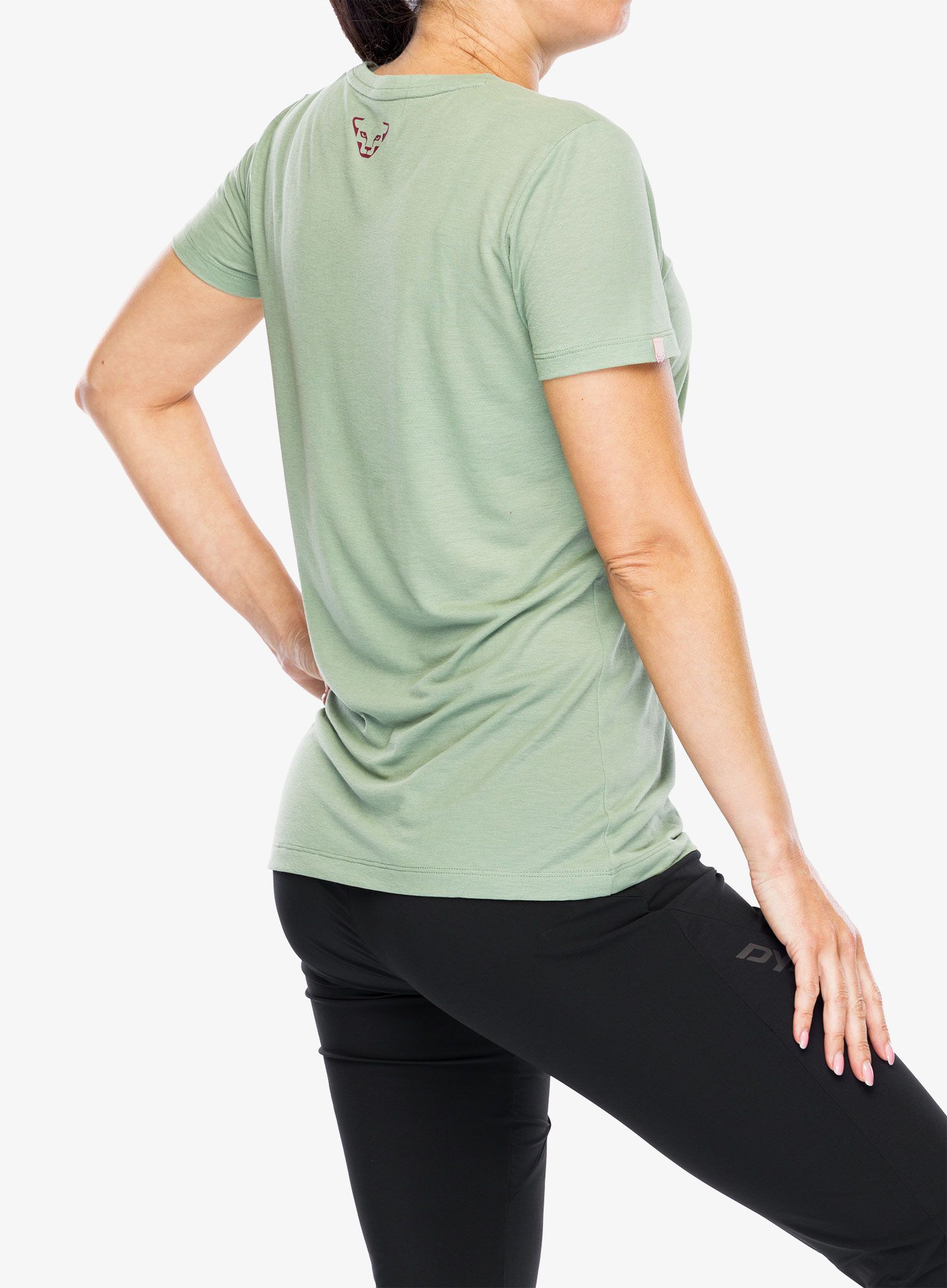 Ženska športna majica Dynafit Transalper Graphic S/S Tee - sage