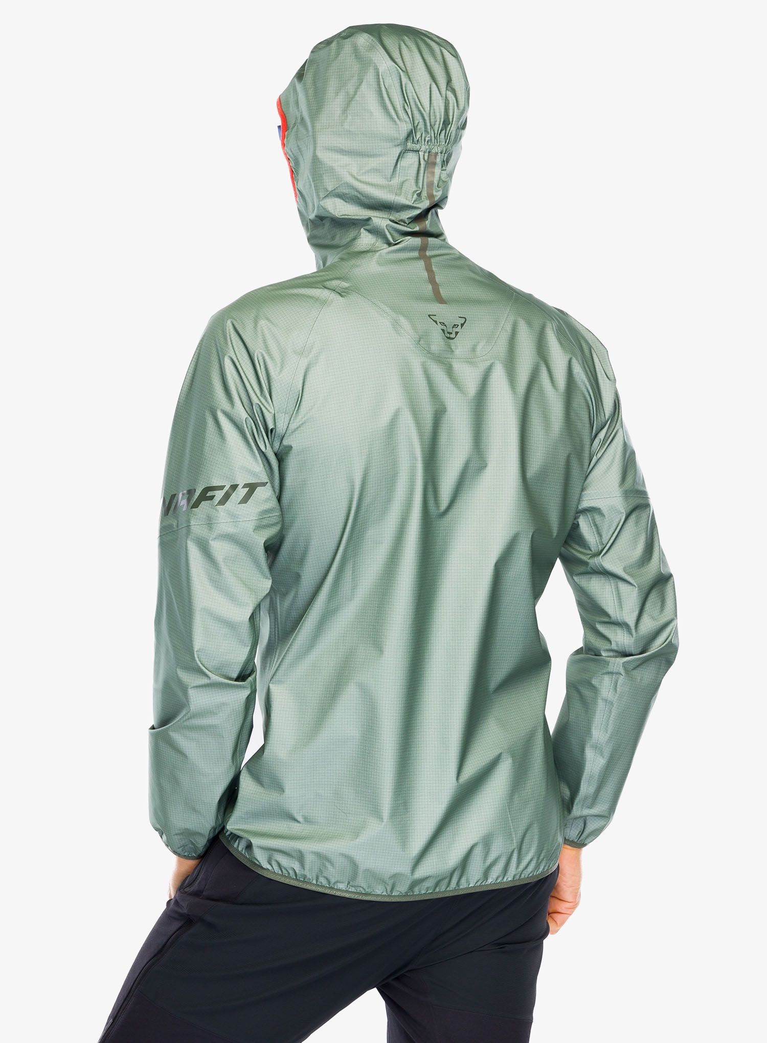 GORE-TEX jakna Dynafit Traverse GTX Jacket - sage
