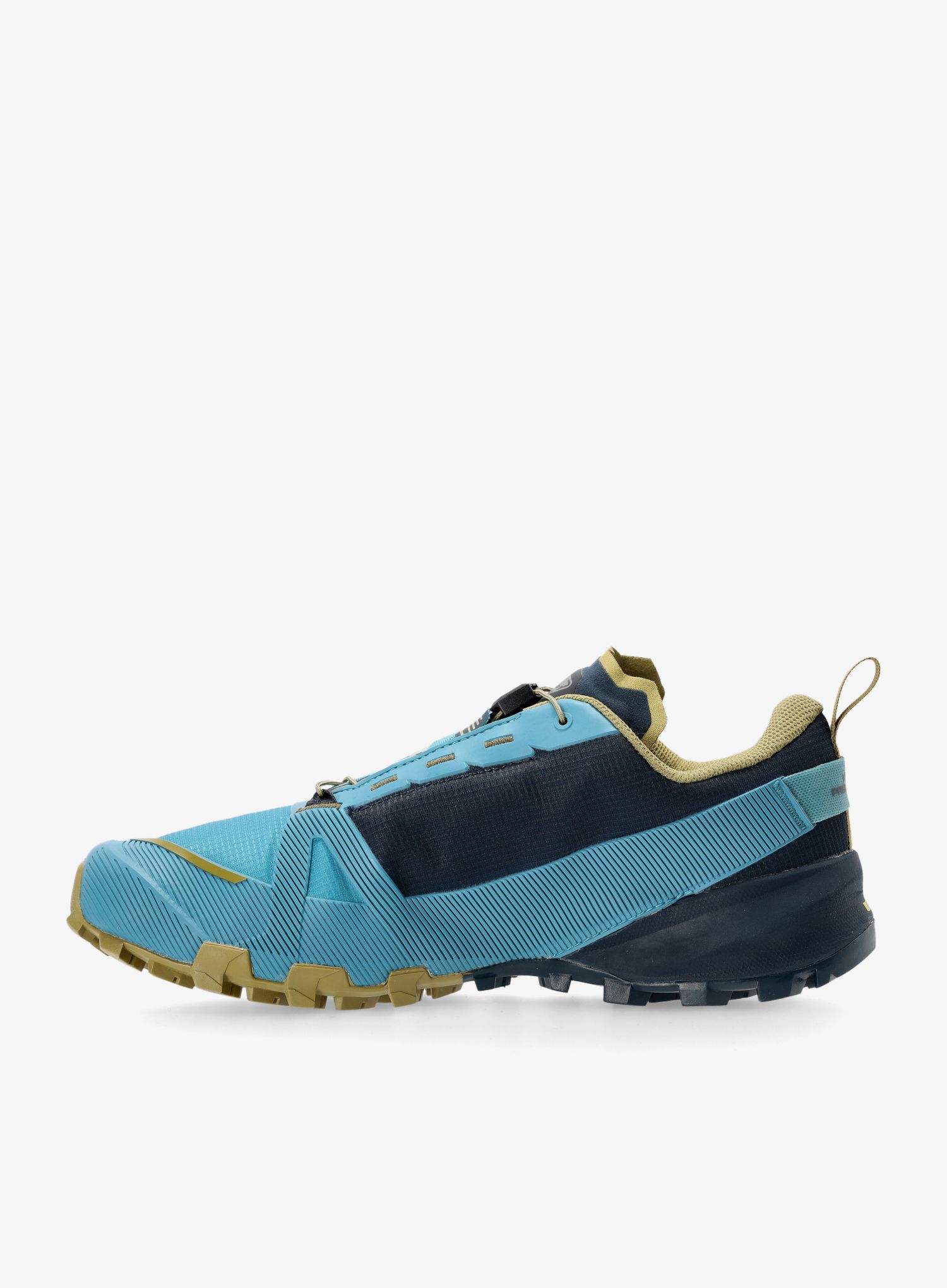 Moški tekaški čevlji Dynafit Traverse GTX - storm blue/blueberry