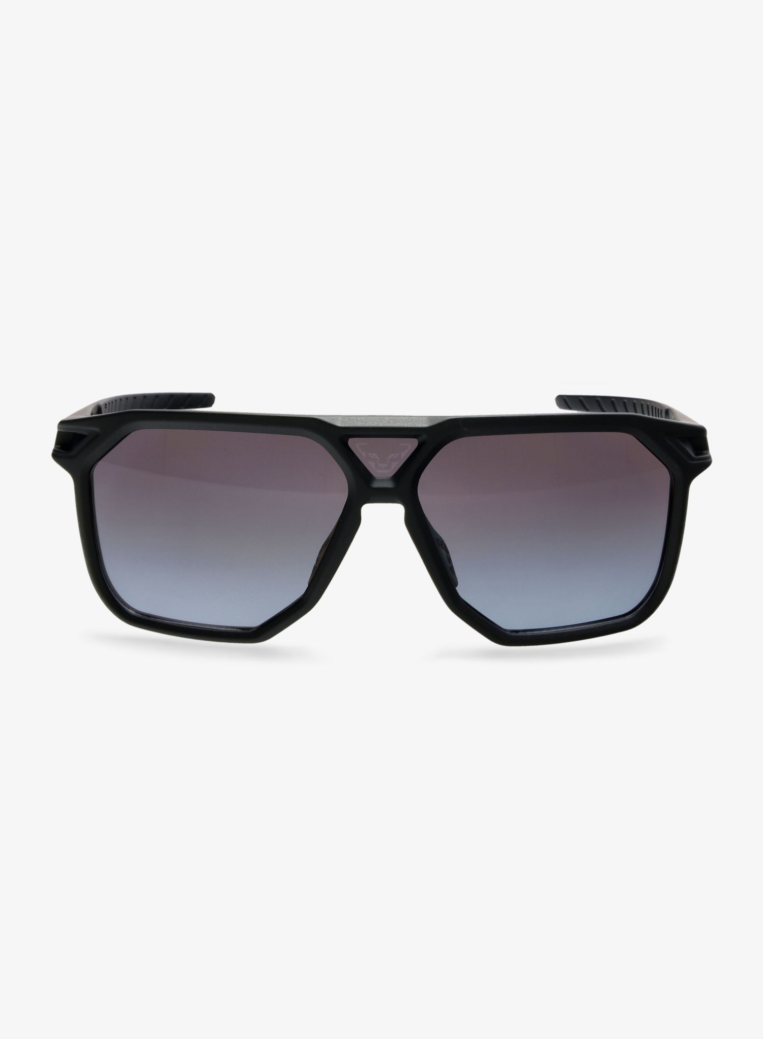 Sončna očala Dynafit Traverse Sunglasses - black out/nimbus
