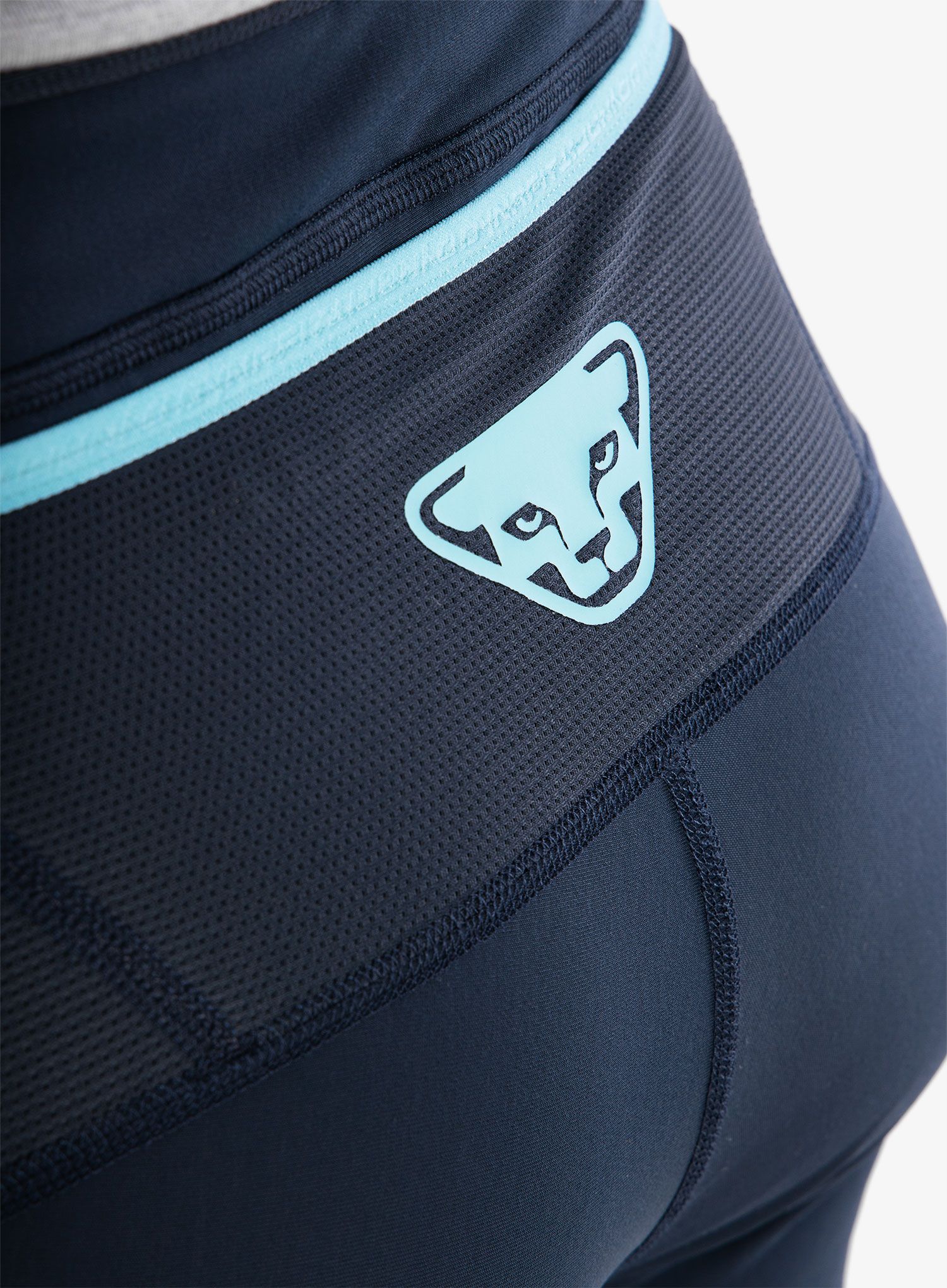 Tekaške gamaše Dynafit Winter Runnig Tights - blueberry/marine blue