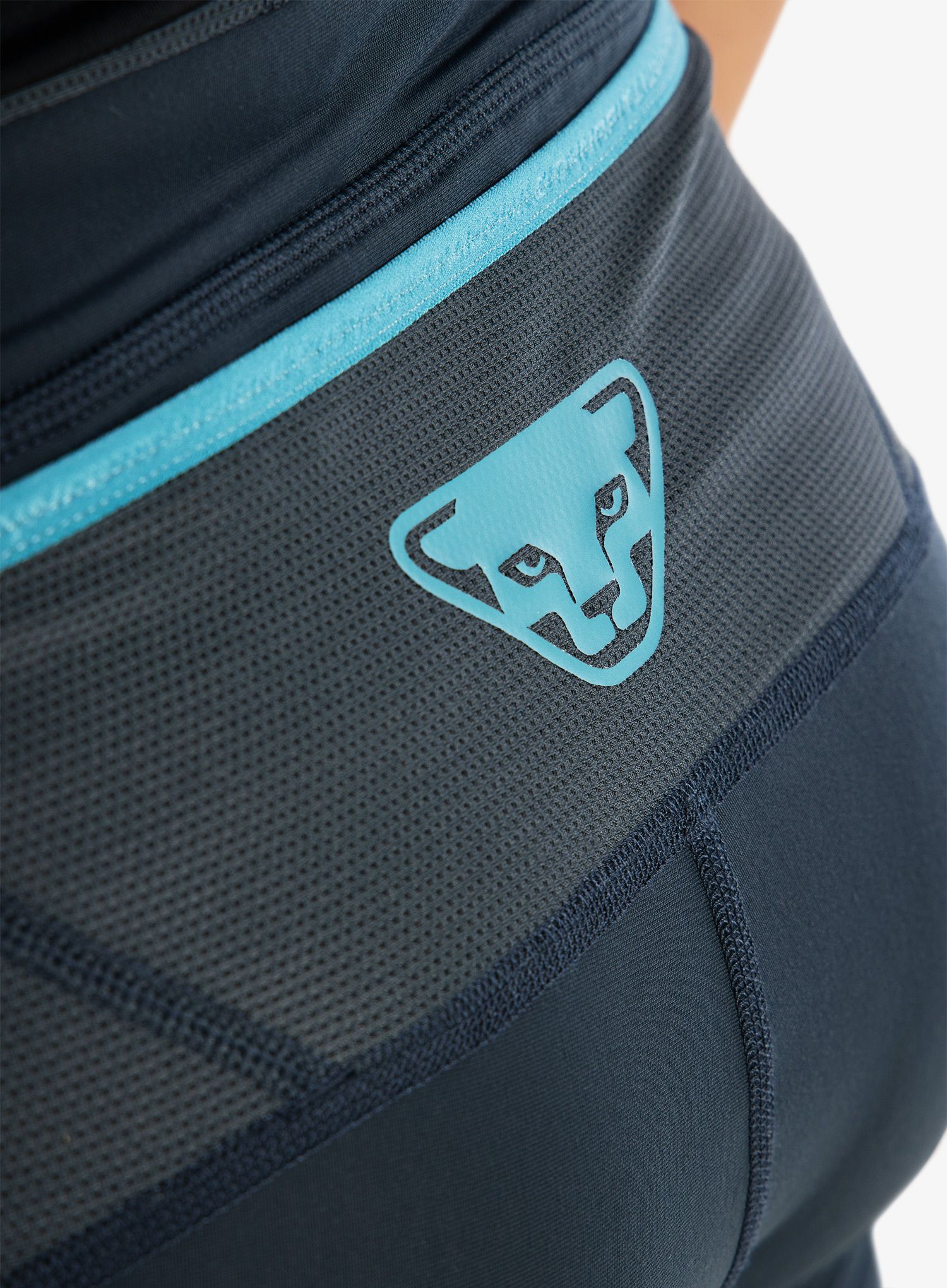 Moške pajkice za tek Dynafit Winter Running Tights - blueberry/storm blue