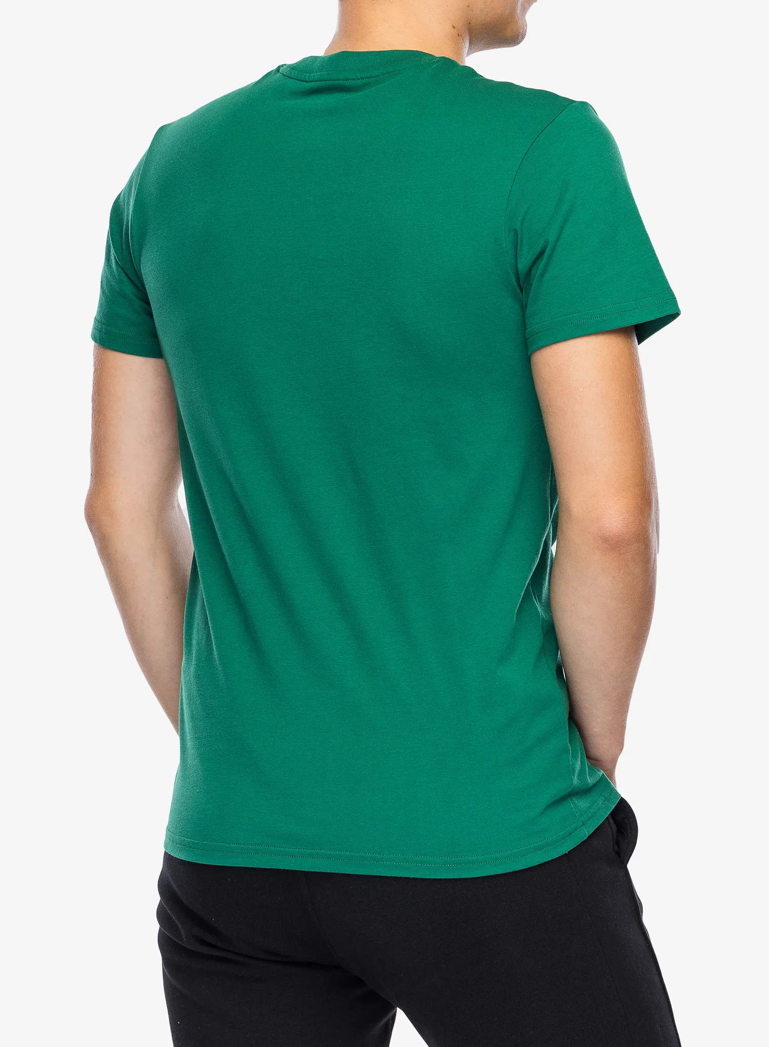 Majica s potiskom Helly Hansen Nord Graph T-Shirt - malachite