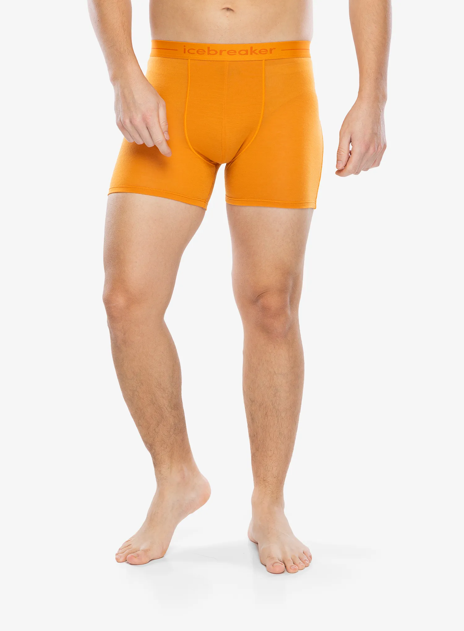Boksarice Icebreaker Anatomica Boxers - ray