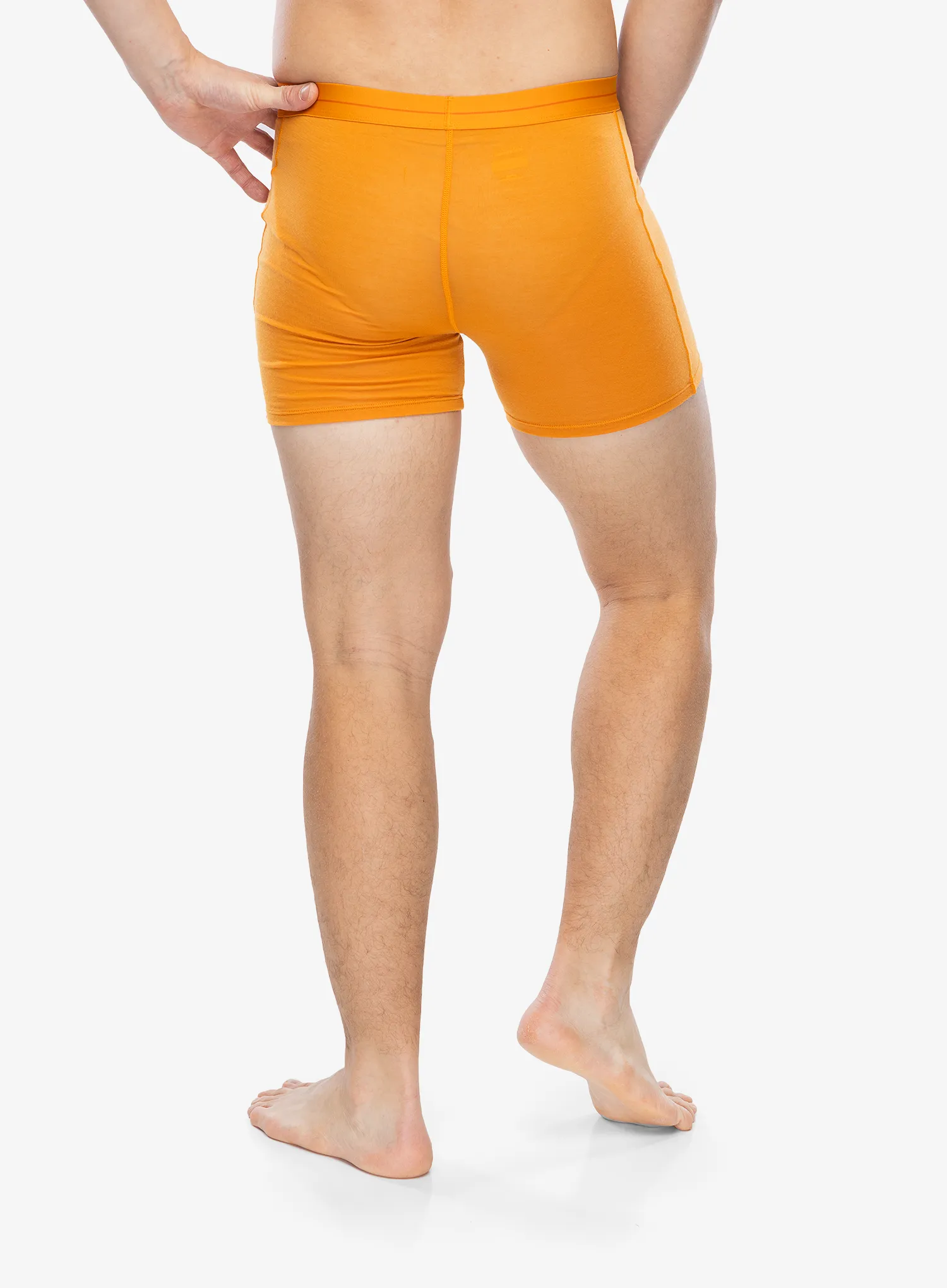 Boksarice Icebreaker Anatomica Boxers - ray