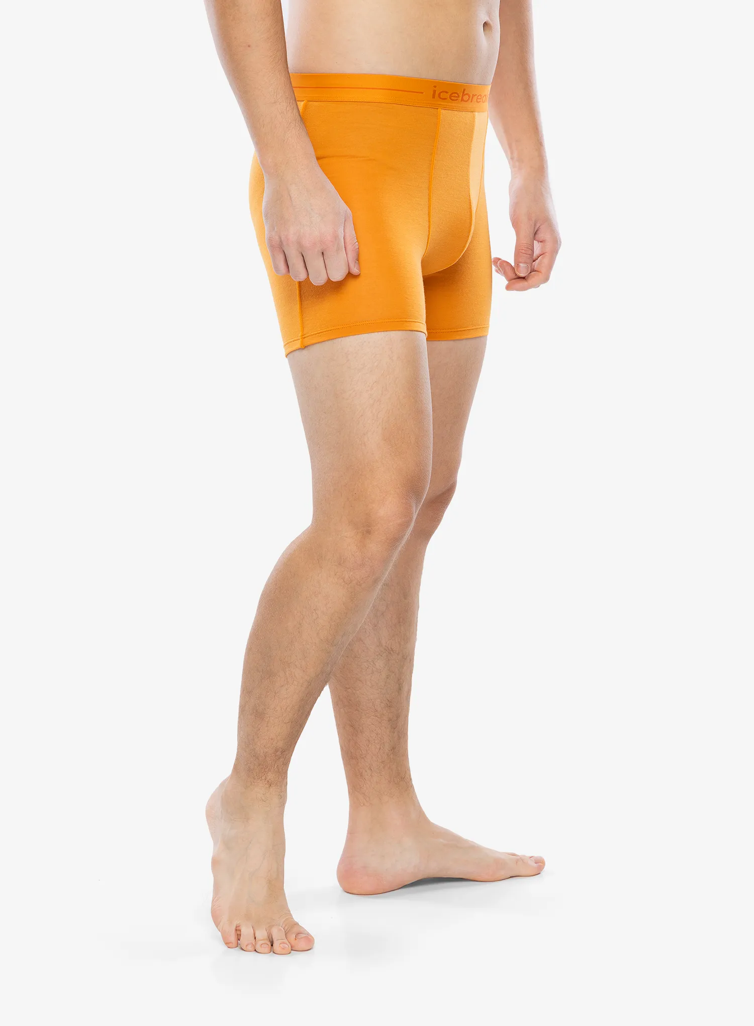 Boksarice Icebreaker Anatomica Boxers - ray