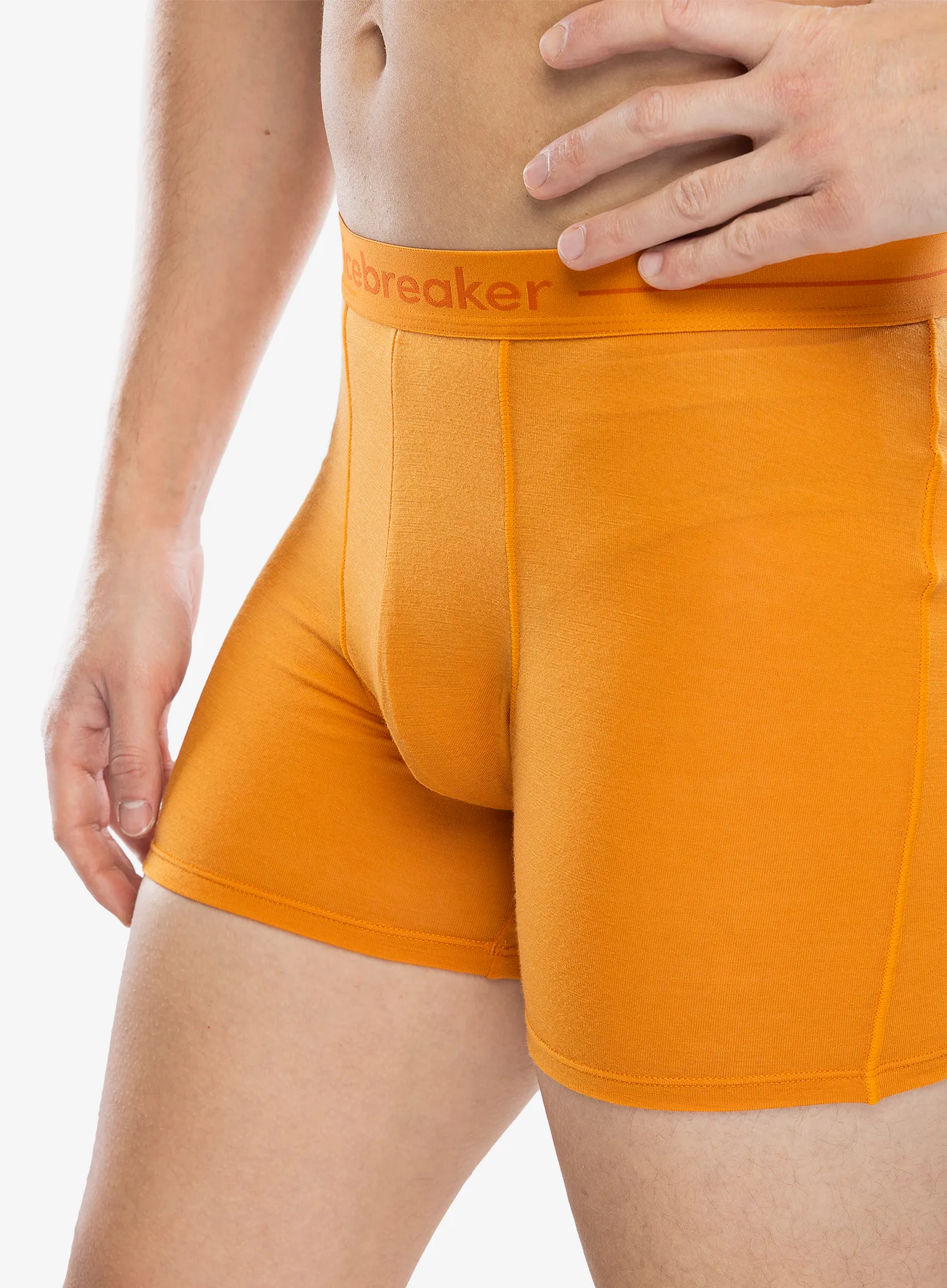 Boksarice Icebreaker Anatomica Boxers - ray