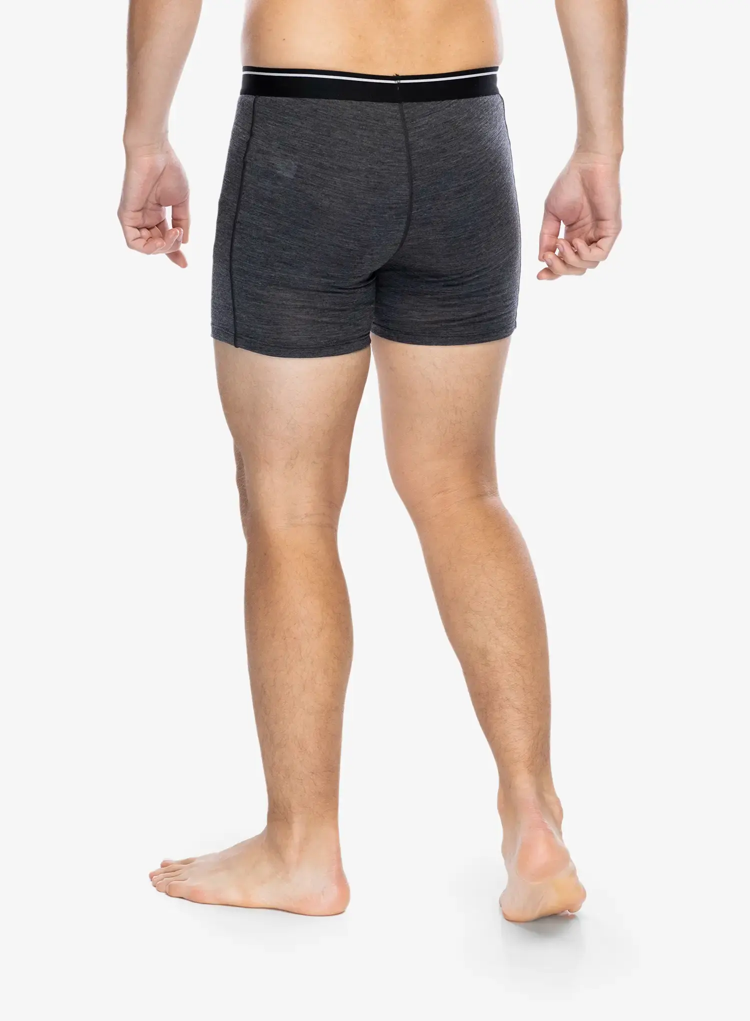 Moške boksarice Icebreaker Anatomica Boxers wFly - jet