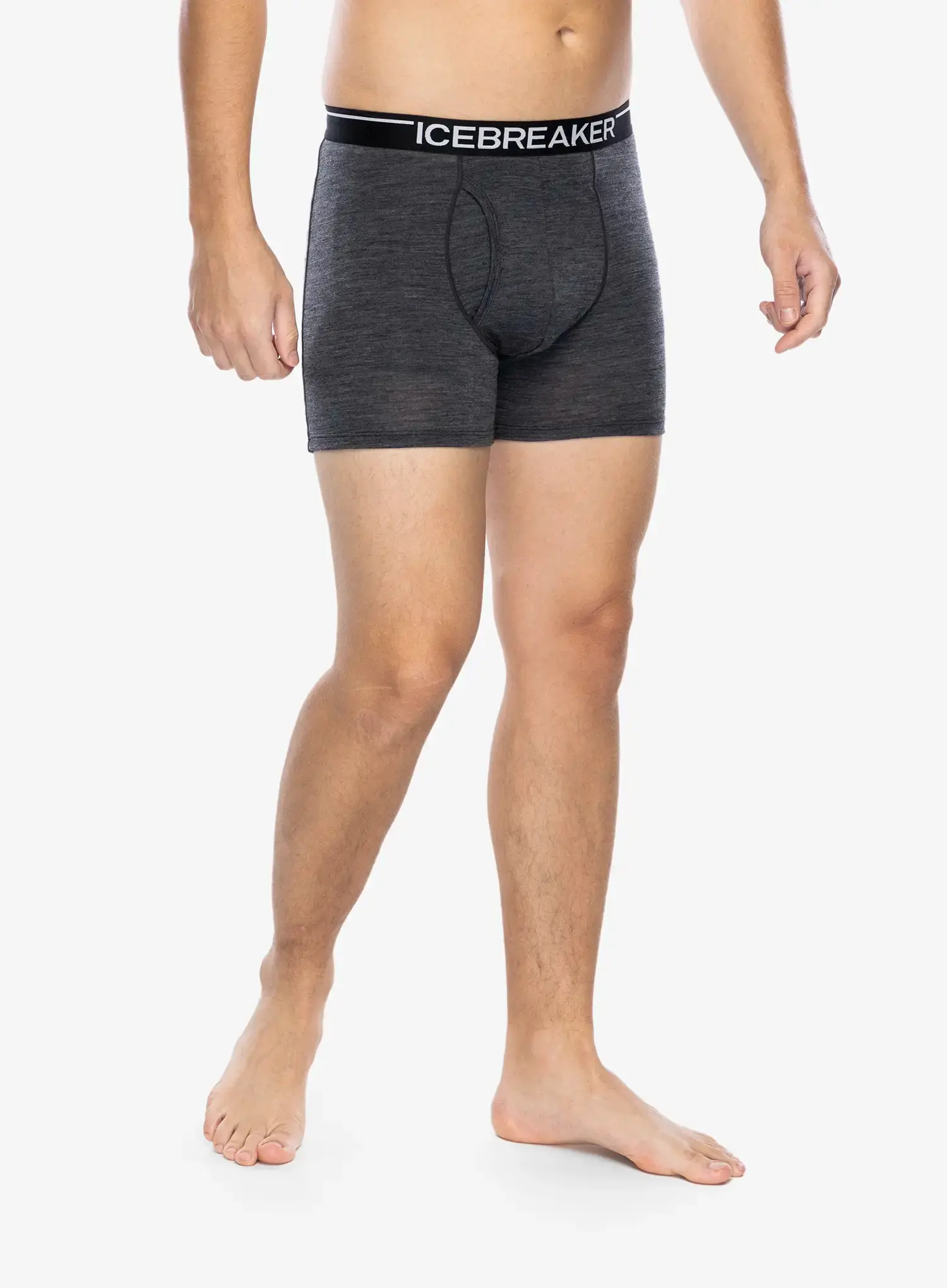 Moške boksarice Icebreaker Anatomica Boxers wFly - jet