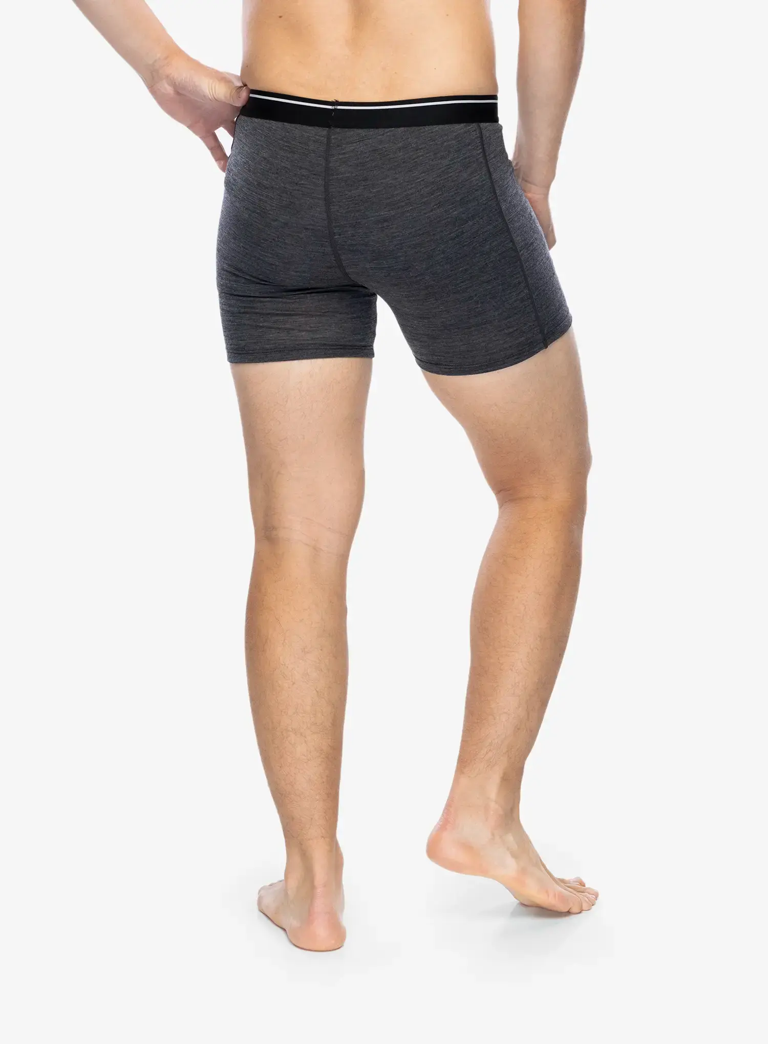 Moške boksarice Icebreaker Anatomica Boxers wFly - jet