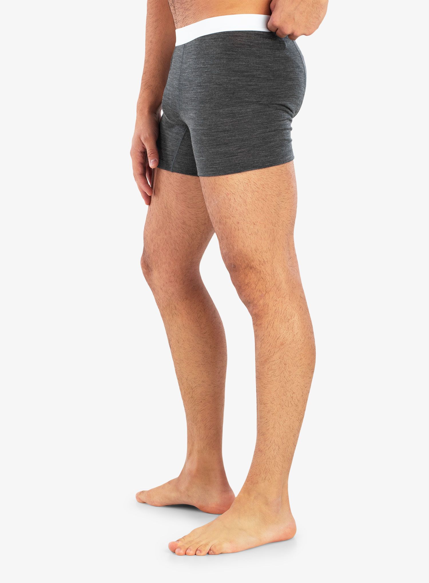 Moške boksarice Icebreaker Anatomica Cool-Lite Boxers - monsoon hthr