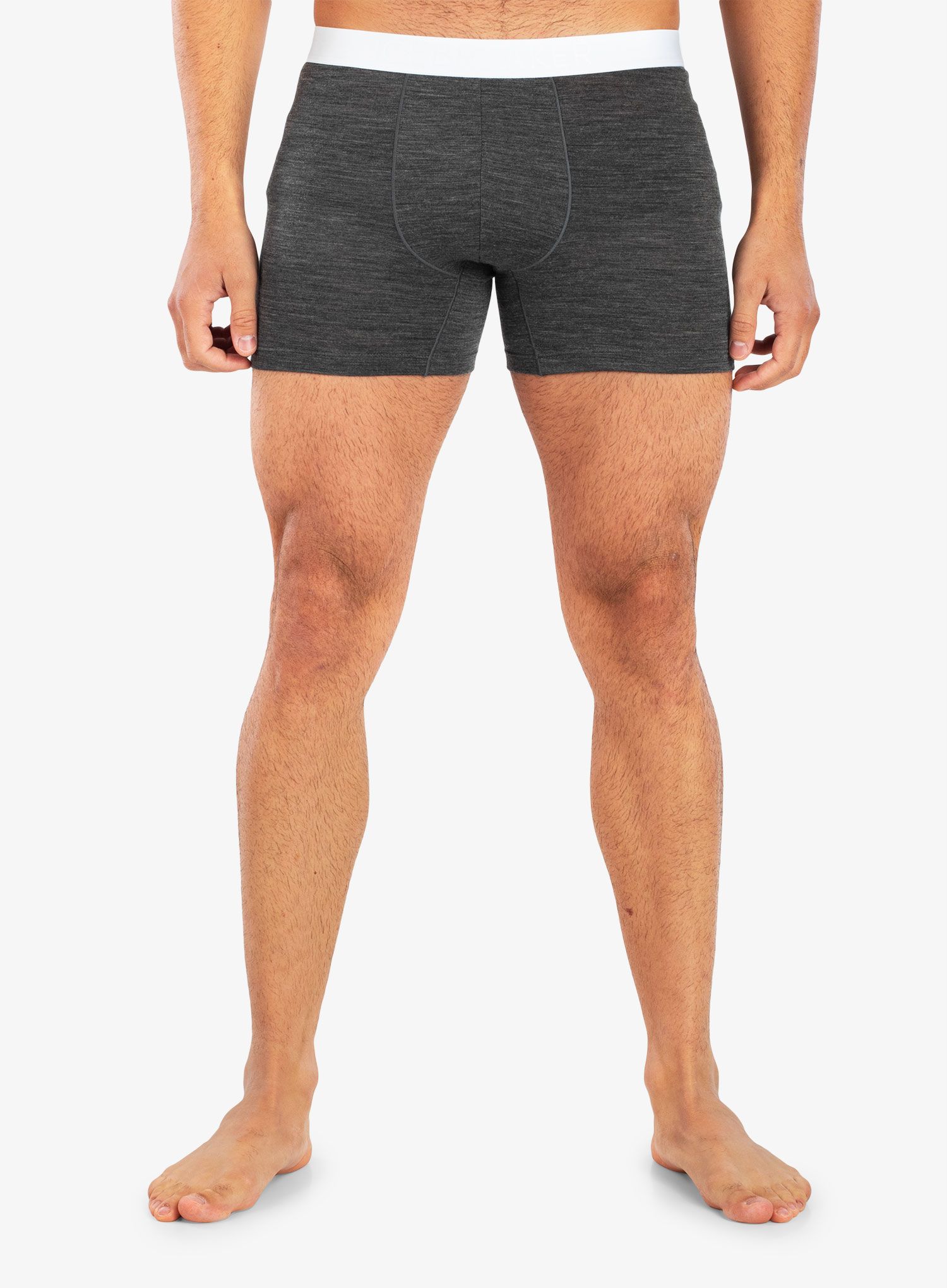 Moške boksarice Icebreaker Anatomica Cool-Lite Boxers - monsoon hthr