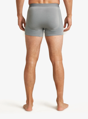 Boksarice Icebreaker Merino 125 ZoneKnit Boxers - alloy