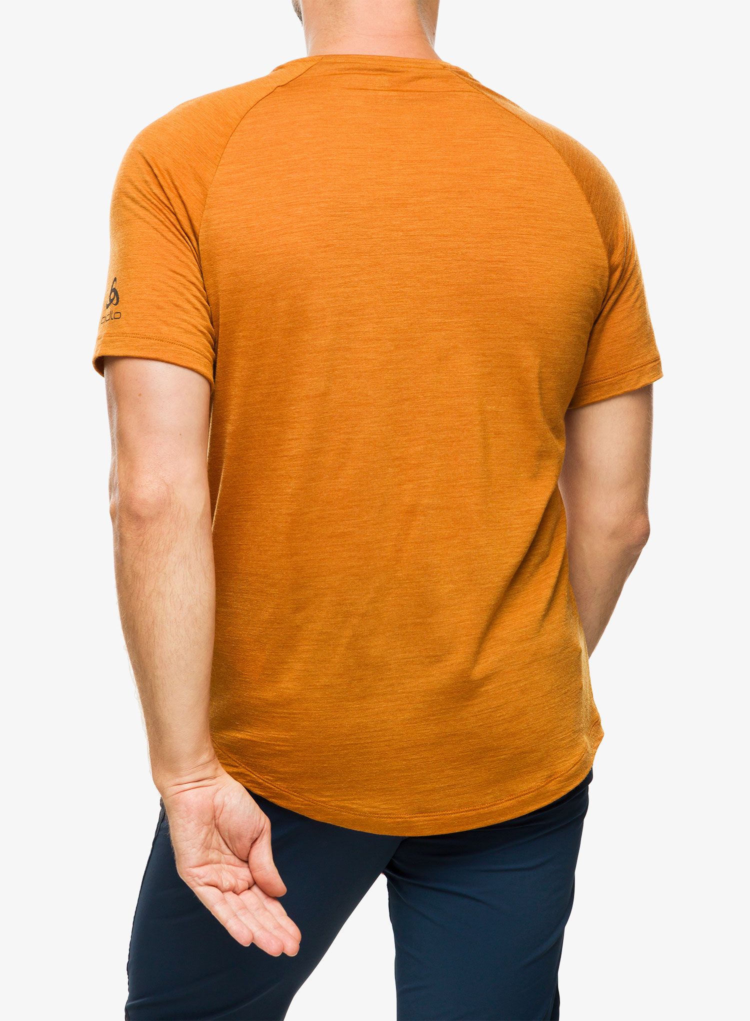 Moška majica Odlo Ascent PW 130 Landscape Crew Neck SS - honey ginger melange