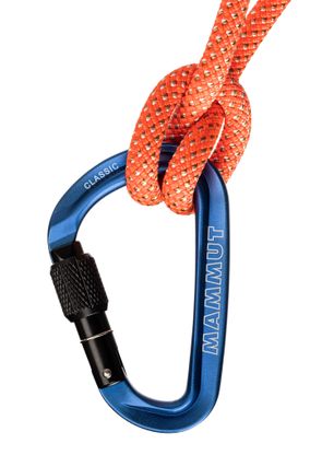 Vponka z matico Mammut Classic HMS Screwgate Carabiner - blue